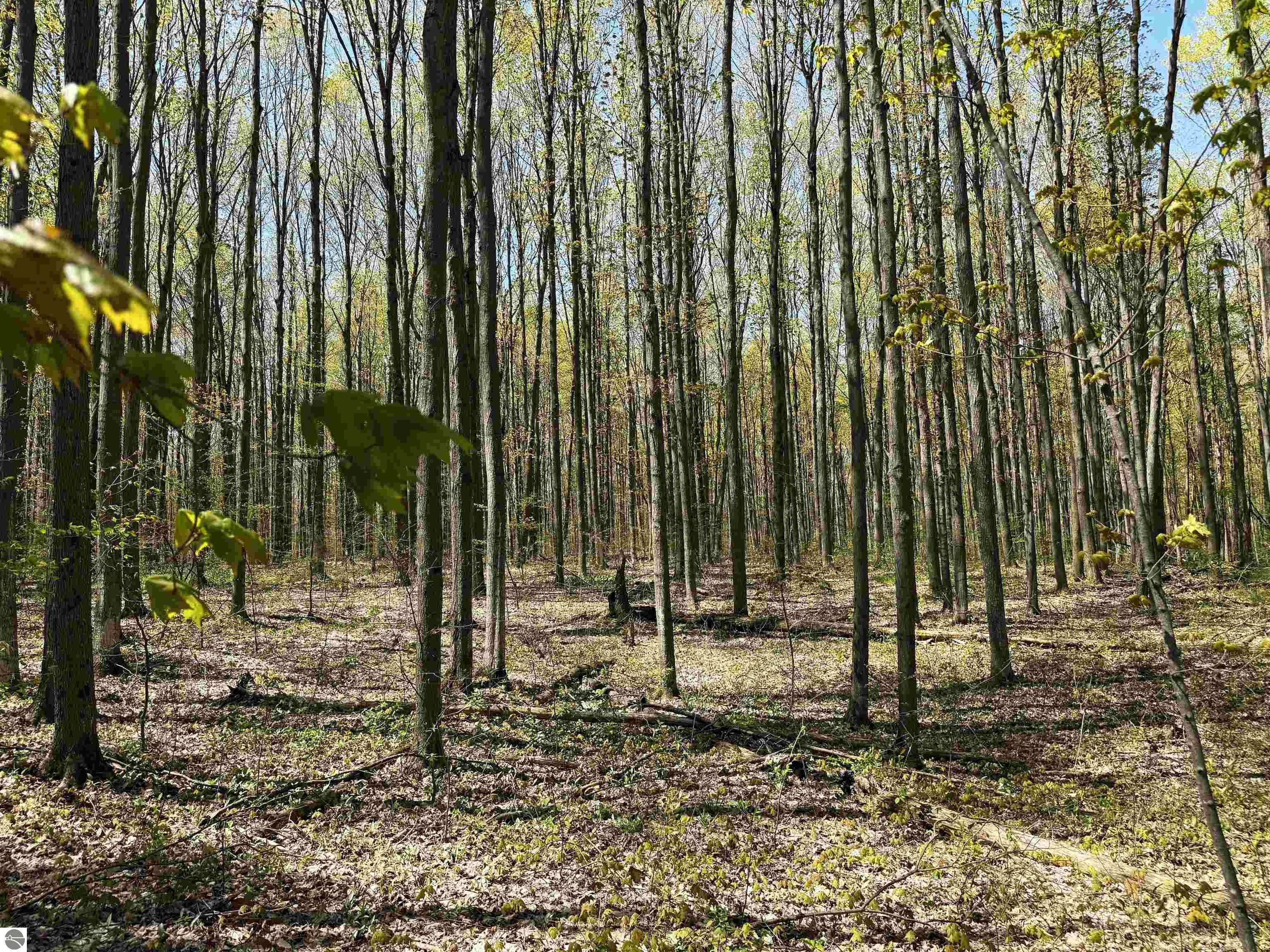 0000 SE Campbell Road