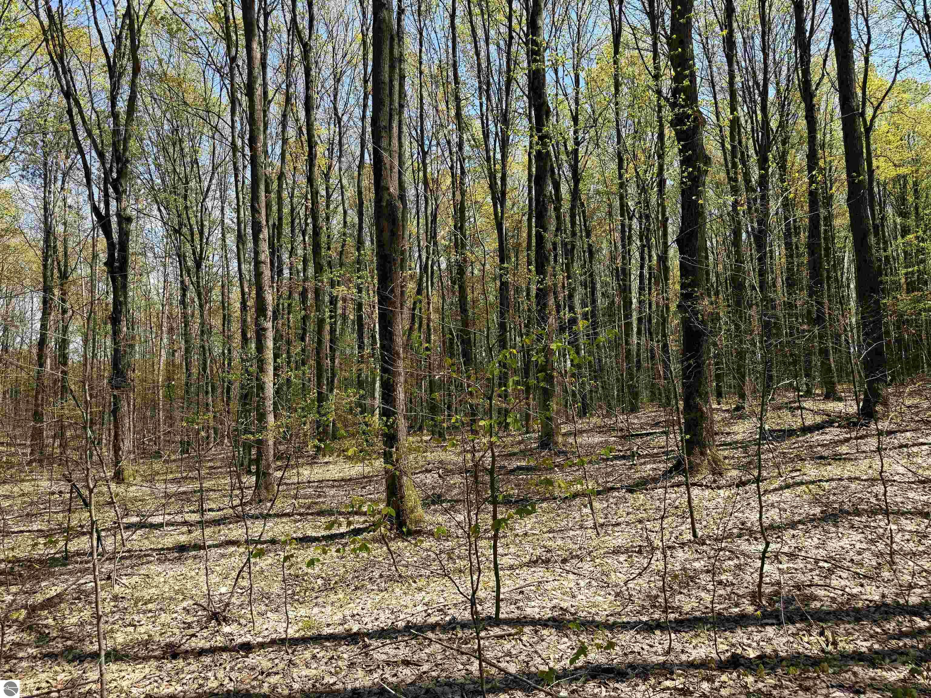 0000 SE Campbell Road