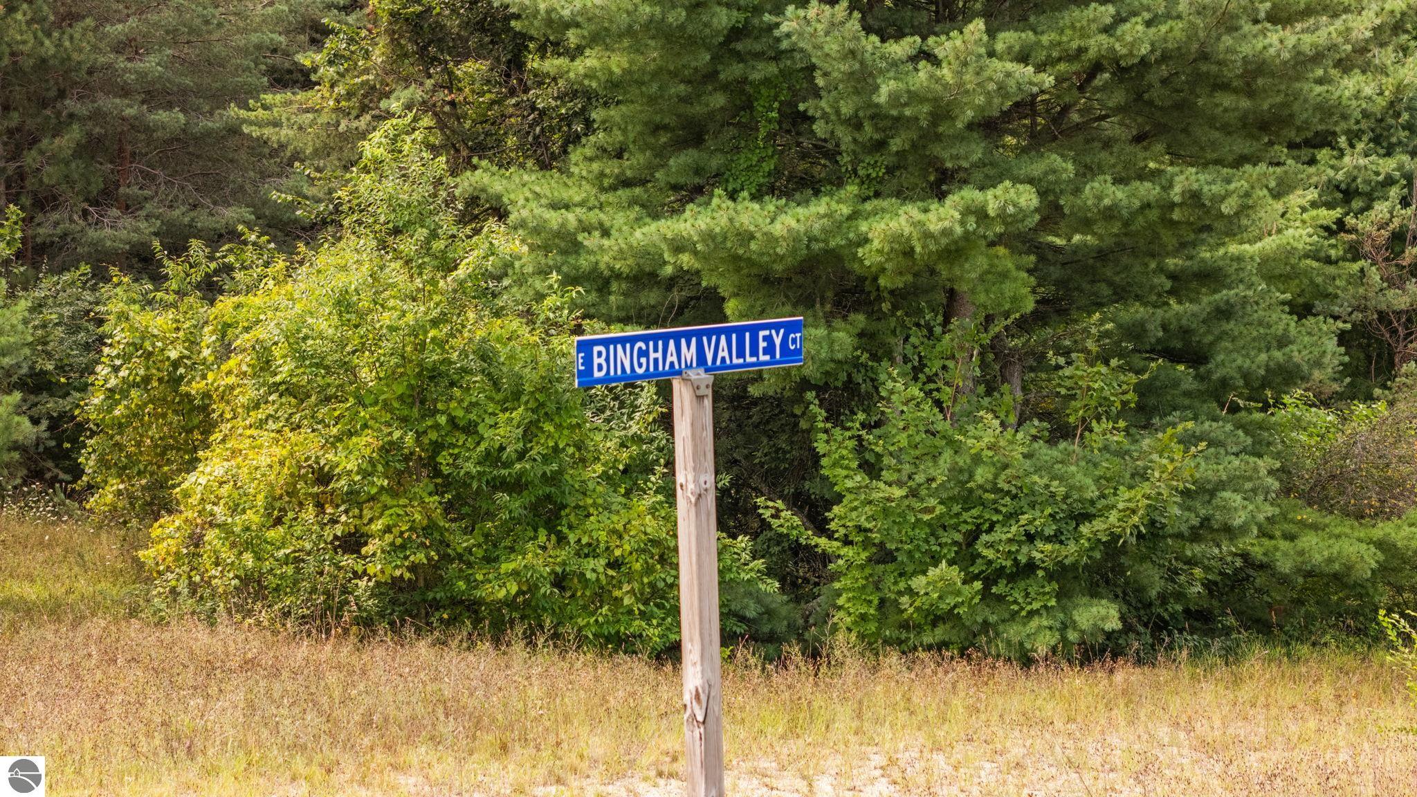 Lots 1 & 3 E Bingham Valley Drive
