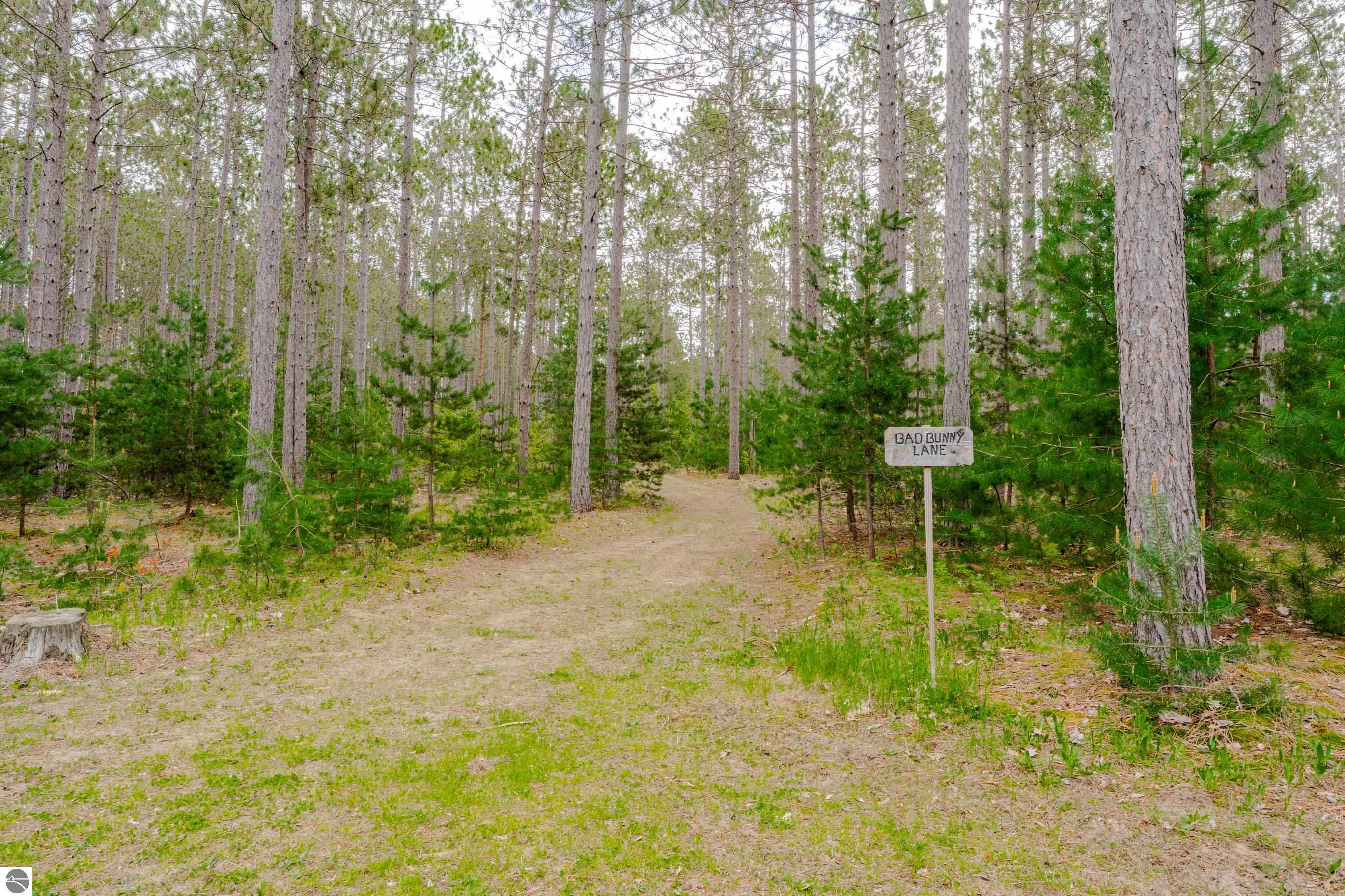 1465 Betsie River Road