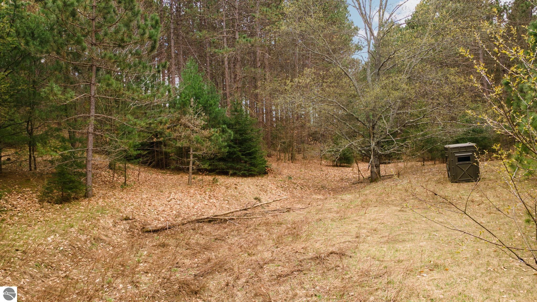 3695 W Timber Lane