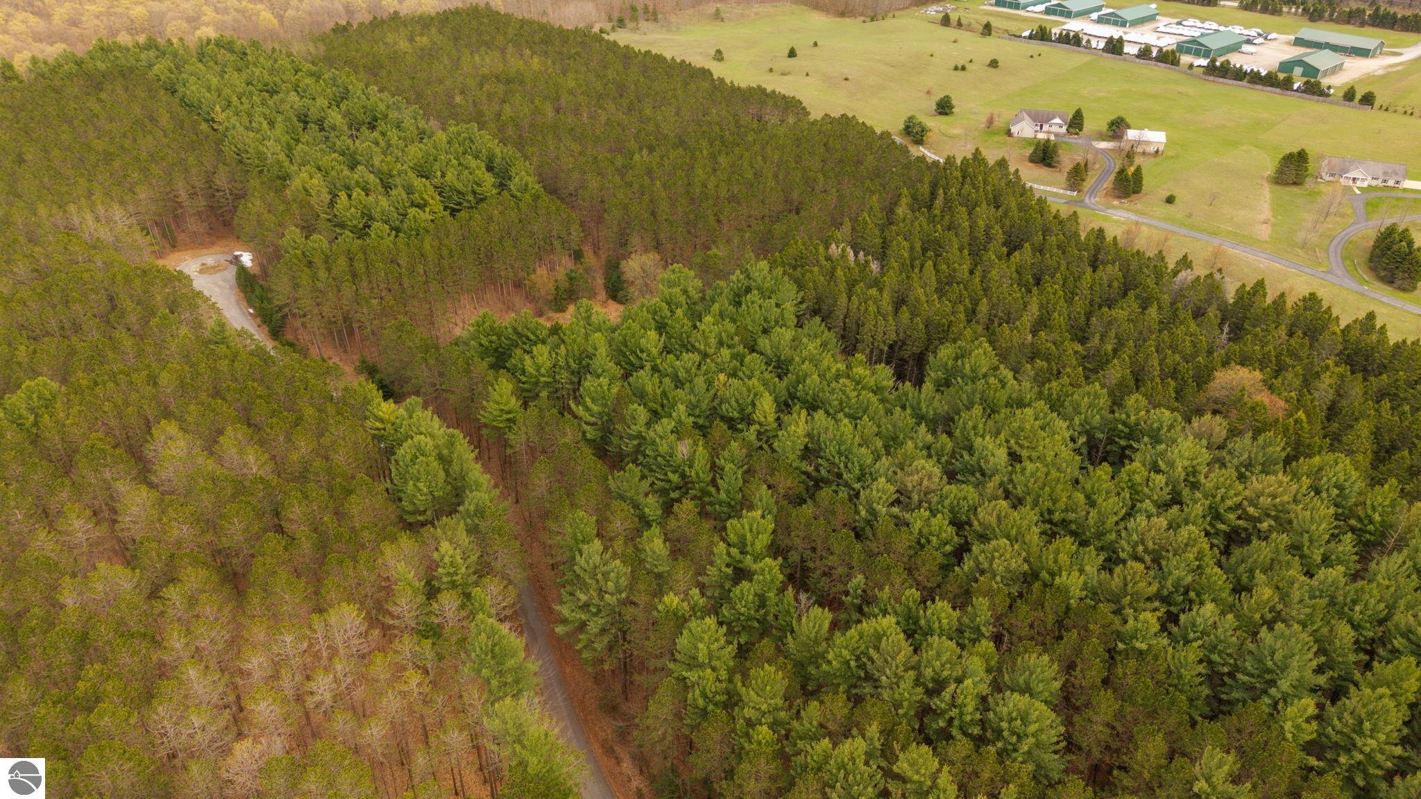 3695 W Timber Lane