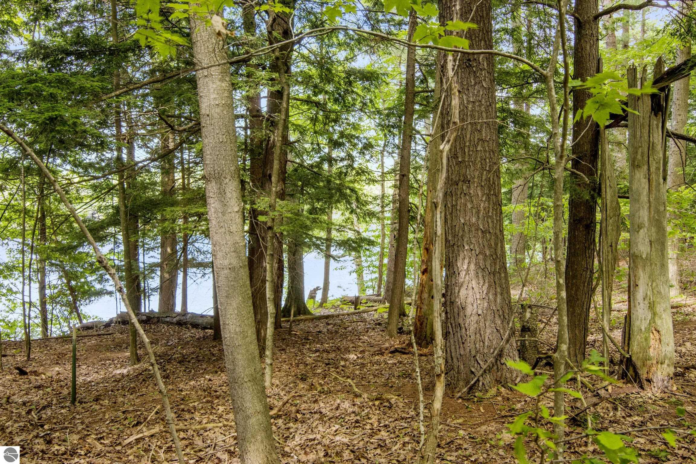 16043 Wagner Road
