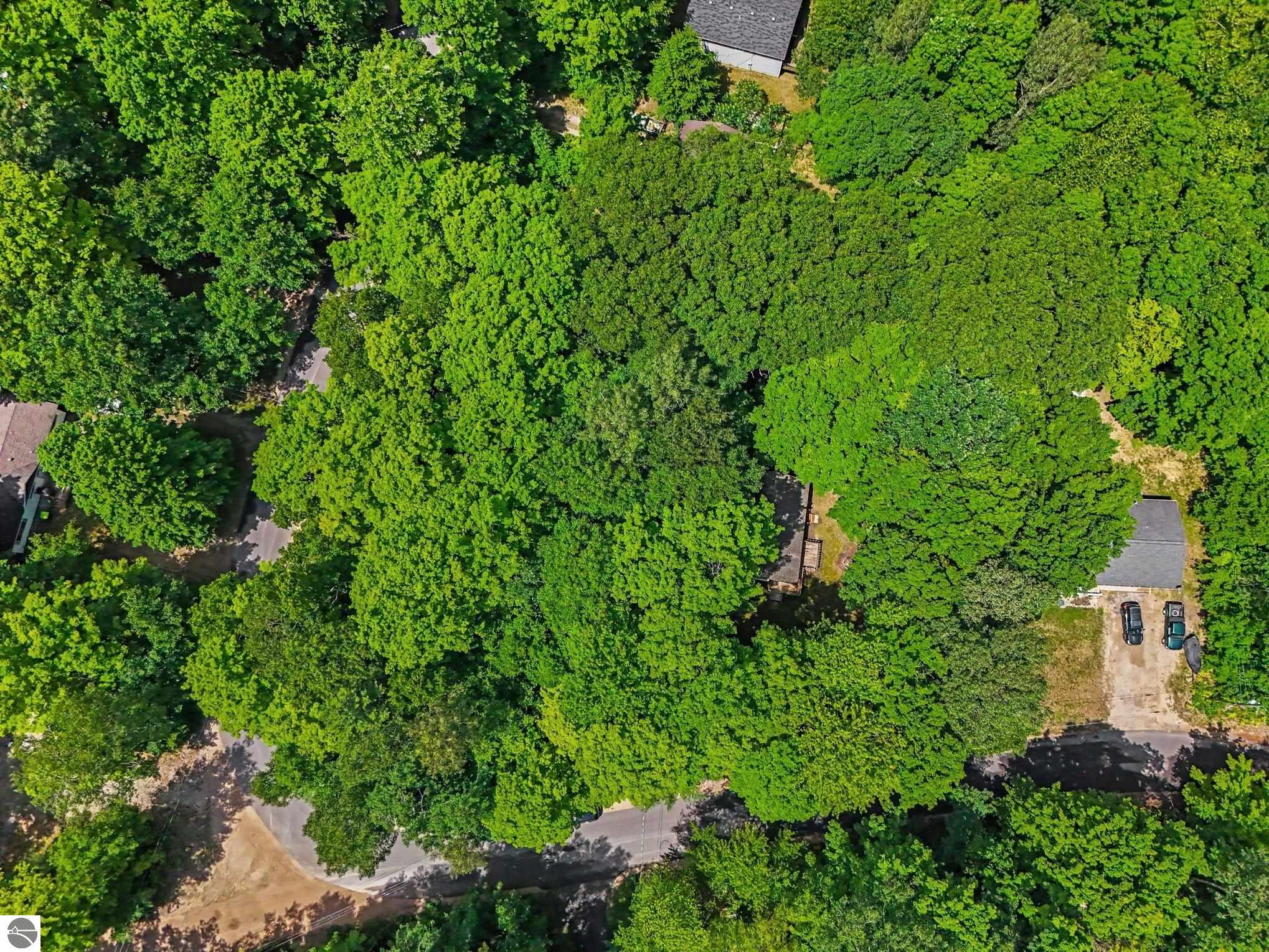 19048 Birch View Trail