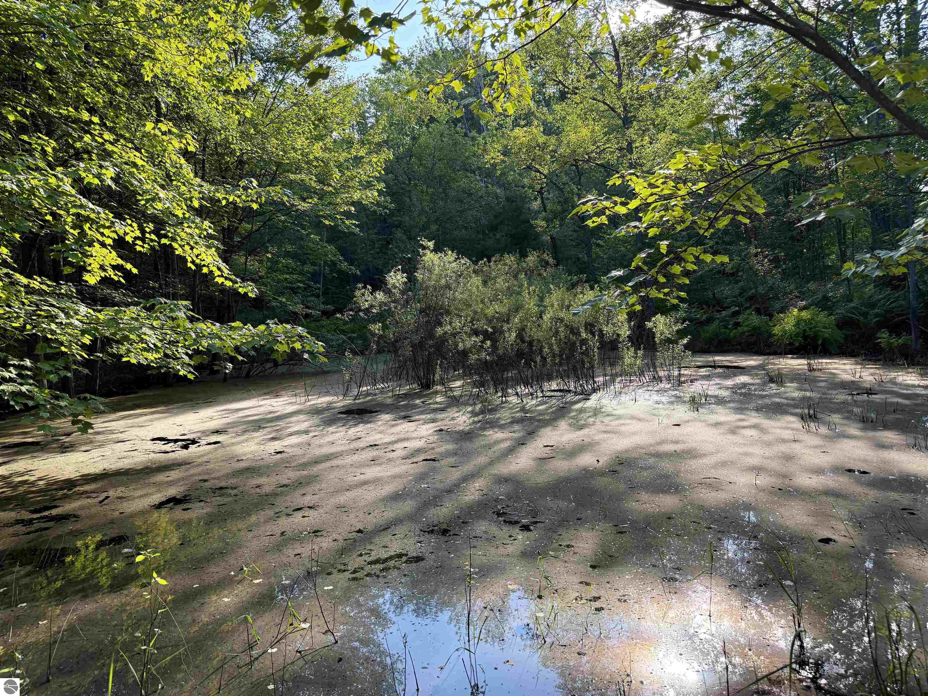 1783 W Sharon Road