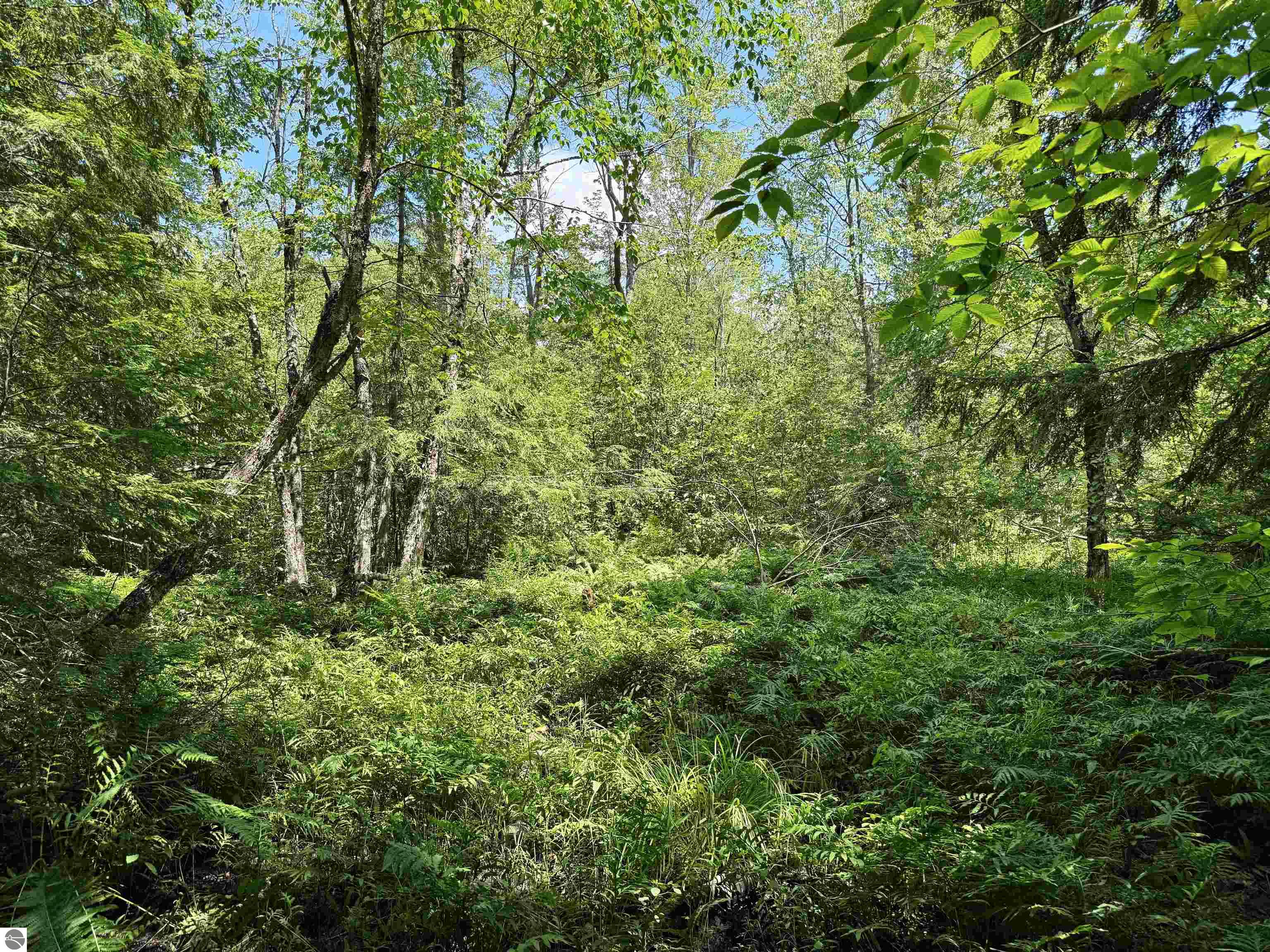 5333 SE Wintergreen Trail