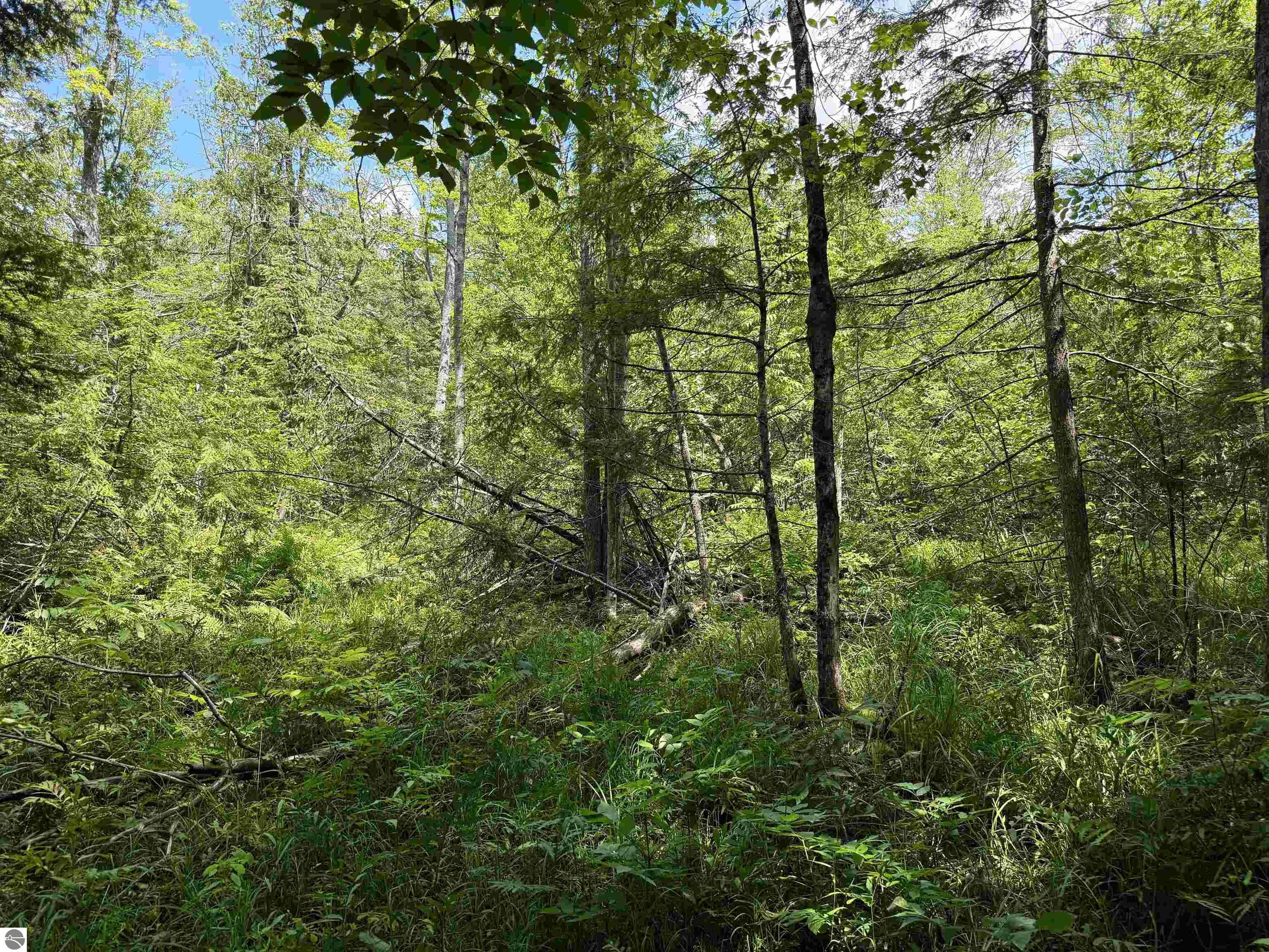 5333 SE Wintergreen Trail