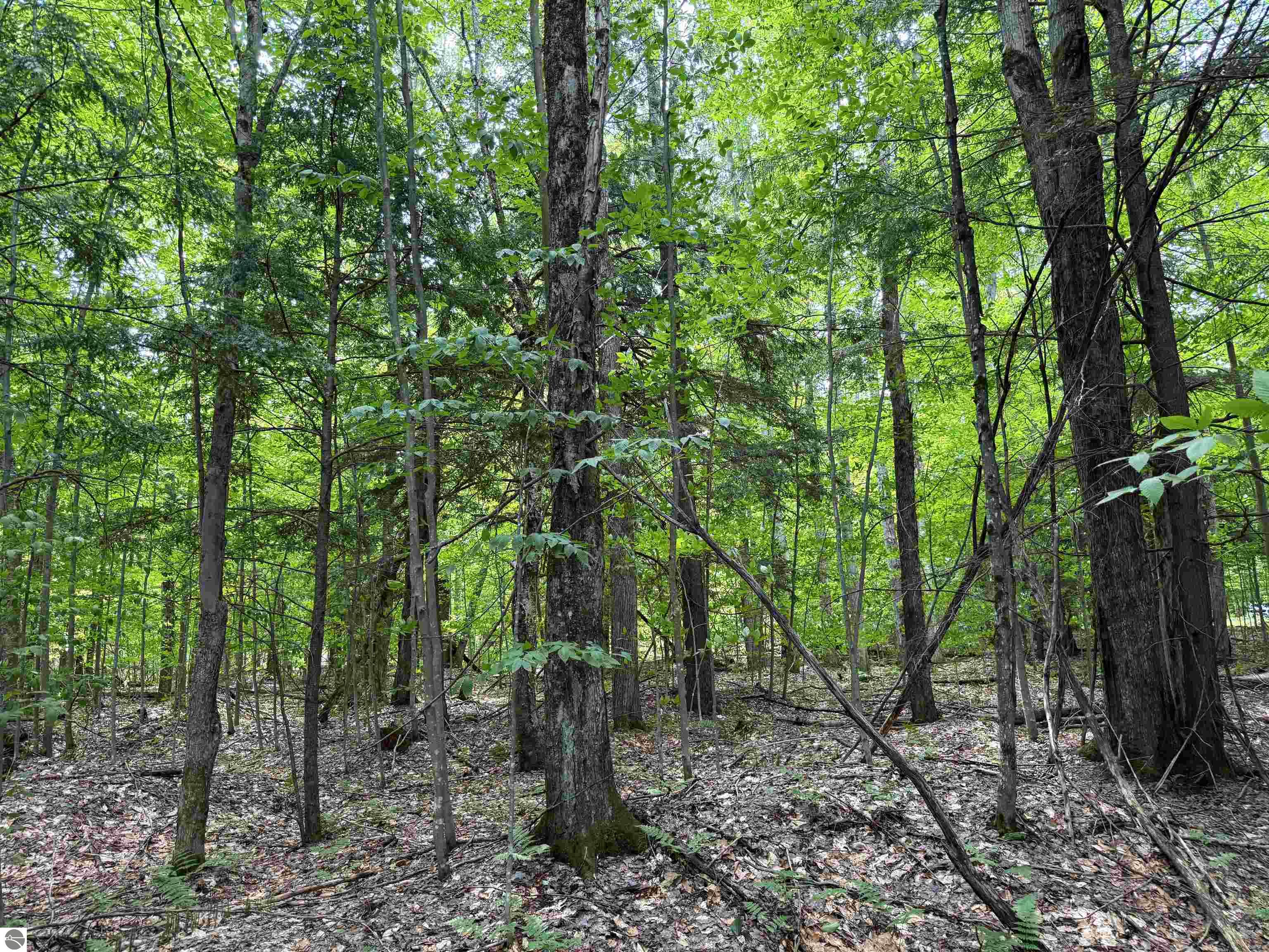 5333 SE Wintergreen Trail