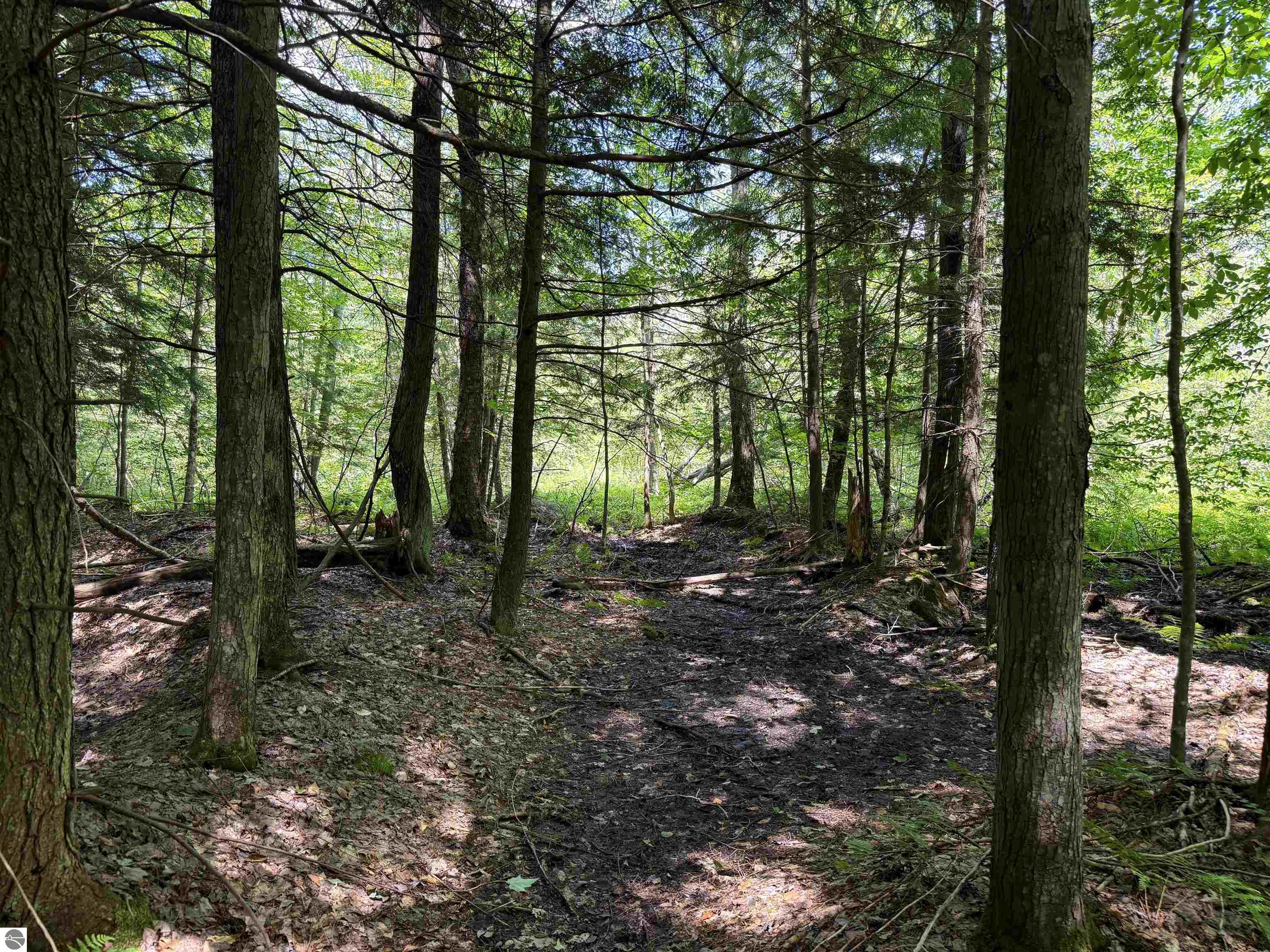 5333 SE Wintergreen Trail