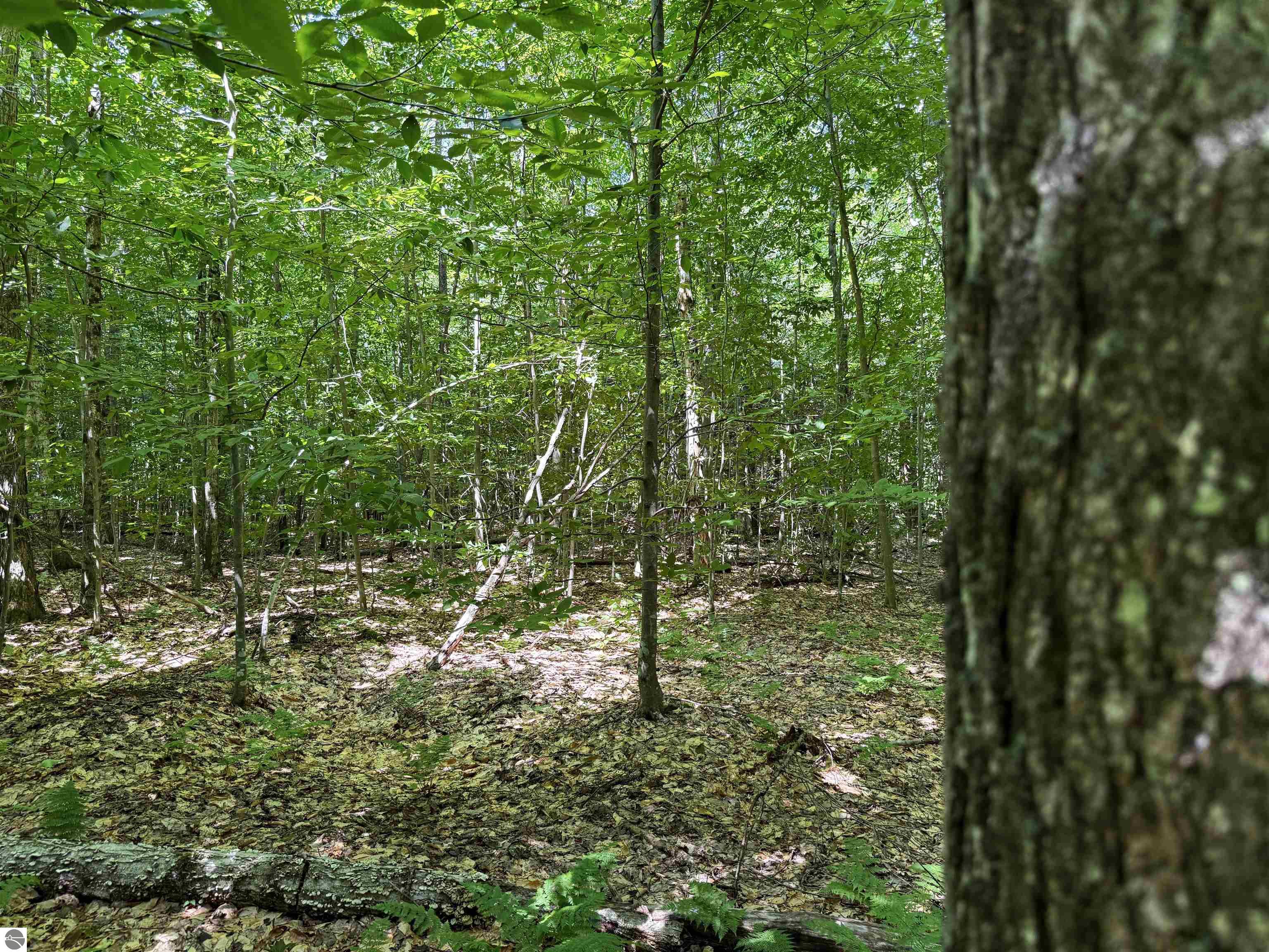 5333 SE Wintergreen Trail
