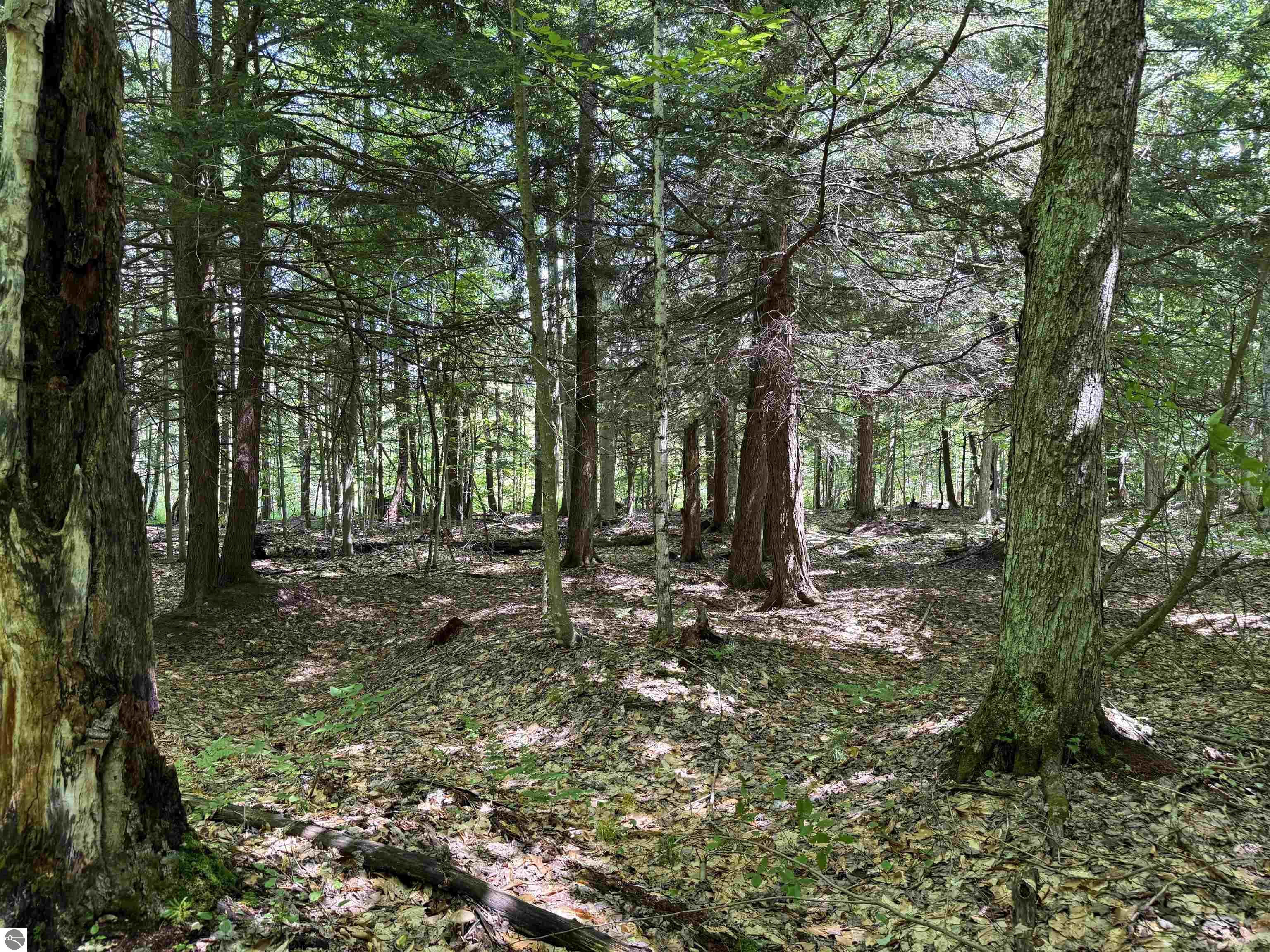 5333 SE Wintergreen Trail