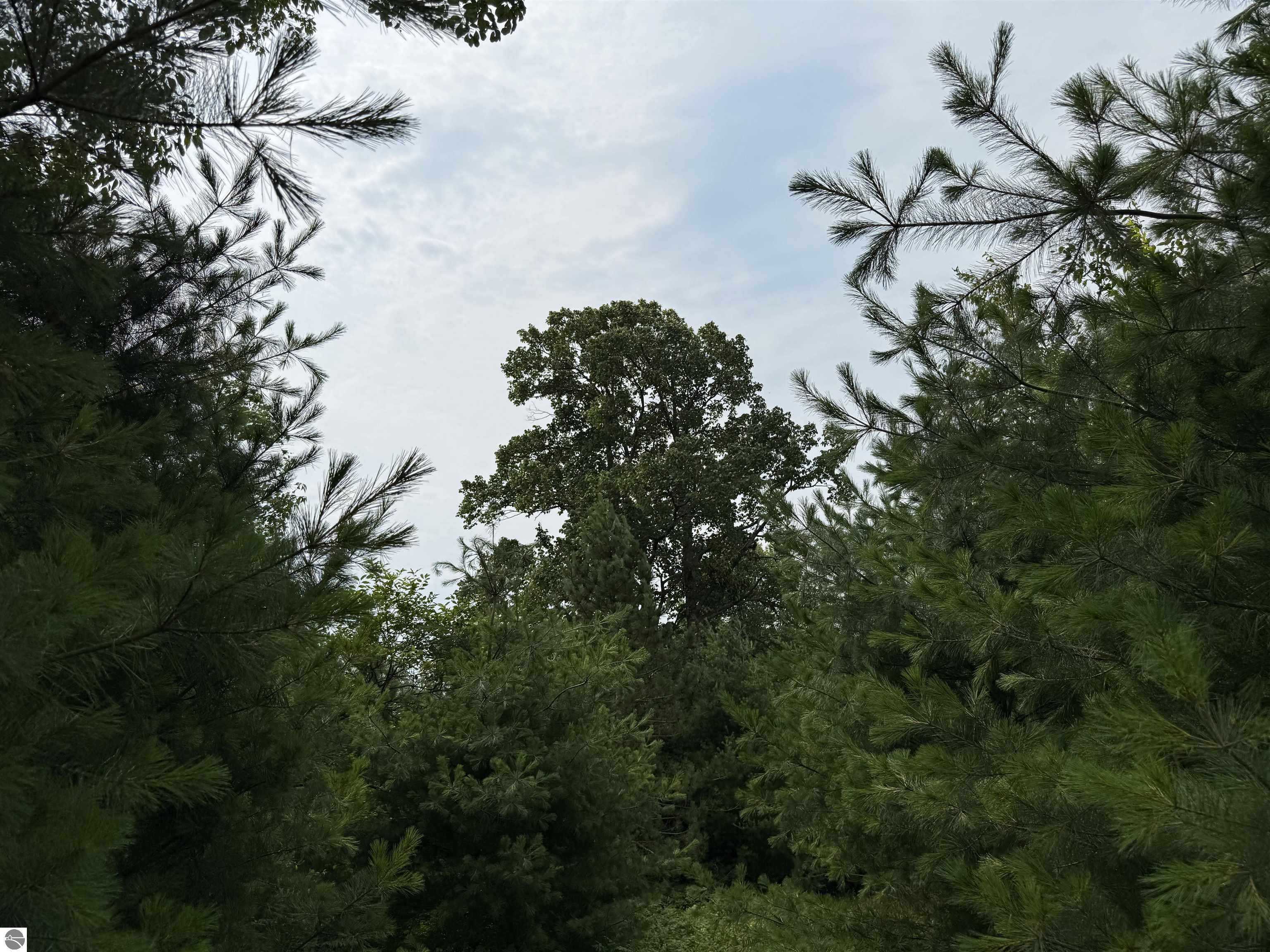 0000 Beebe Road, NW