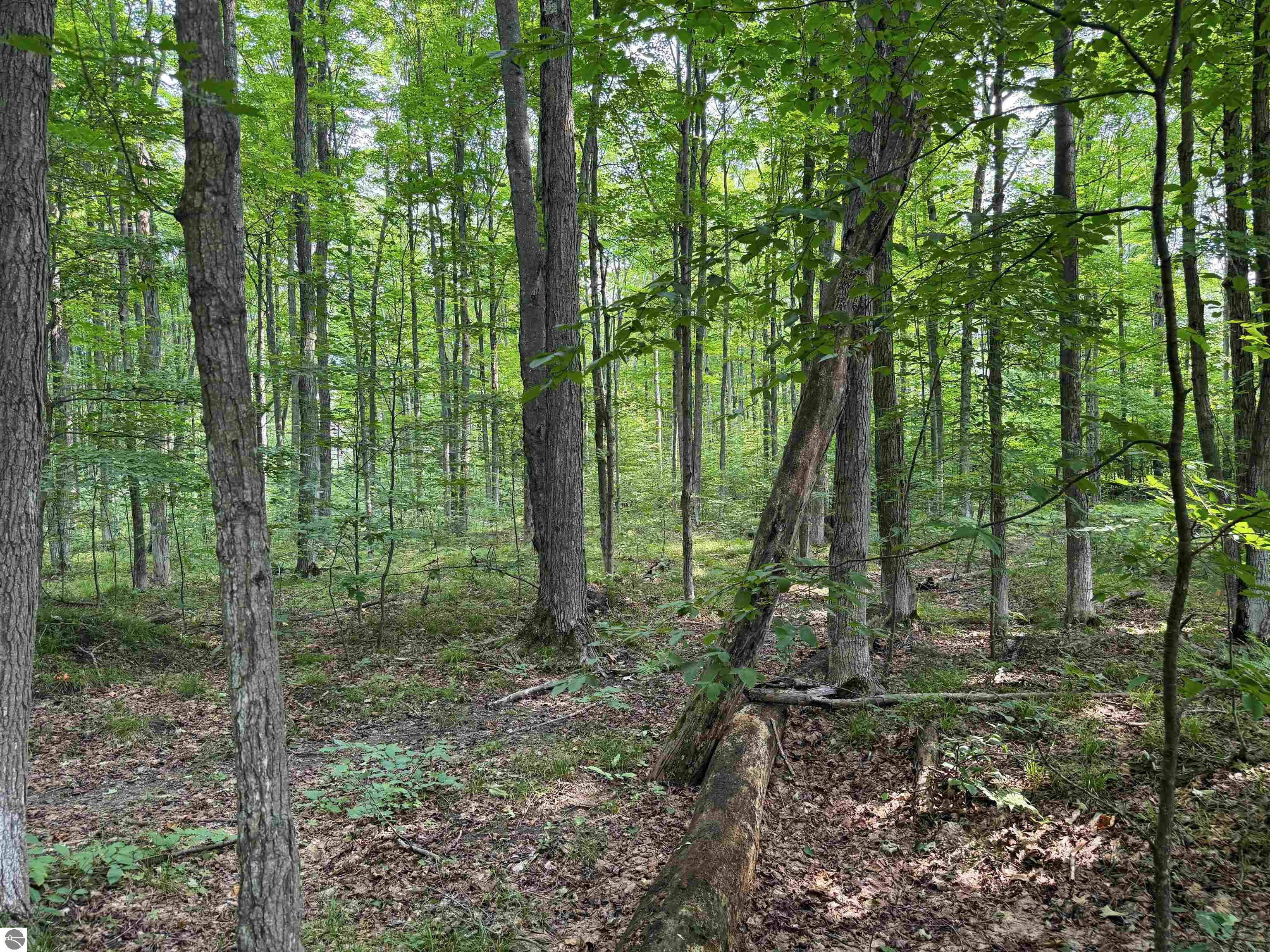 0000 Beebe Road, NW