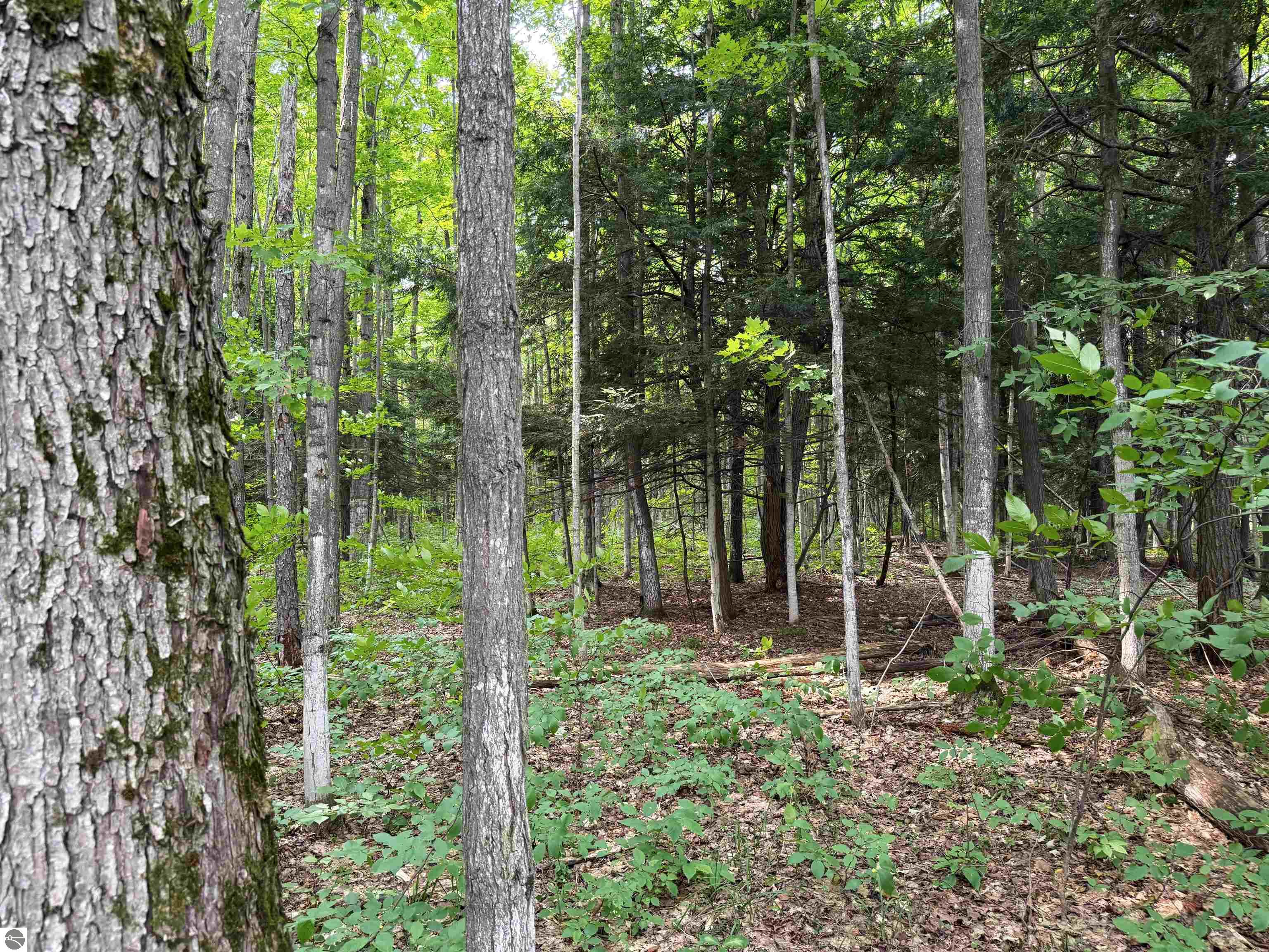 0000 Beebe Road, NW