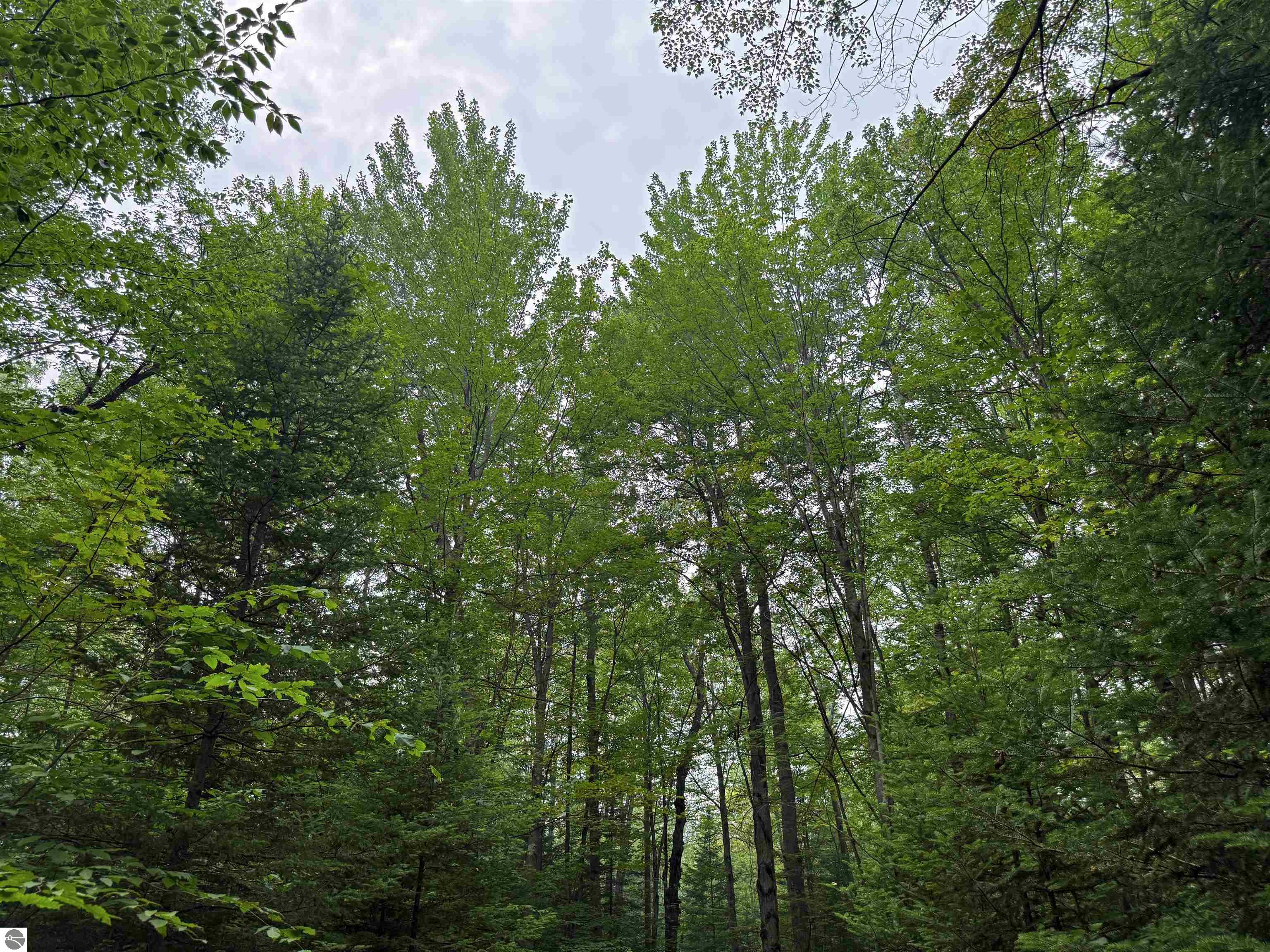 3396 SE Spencer Road