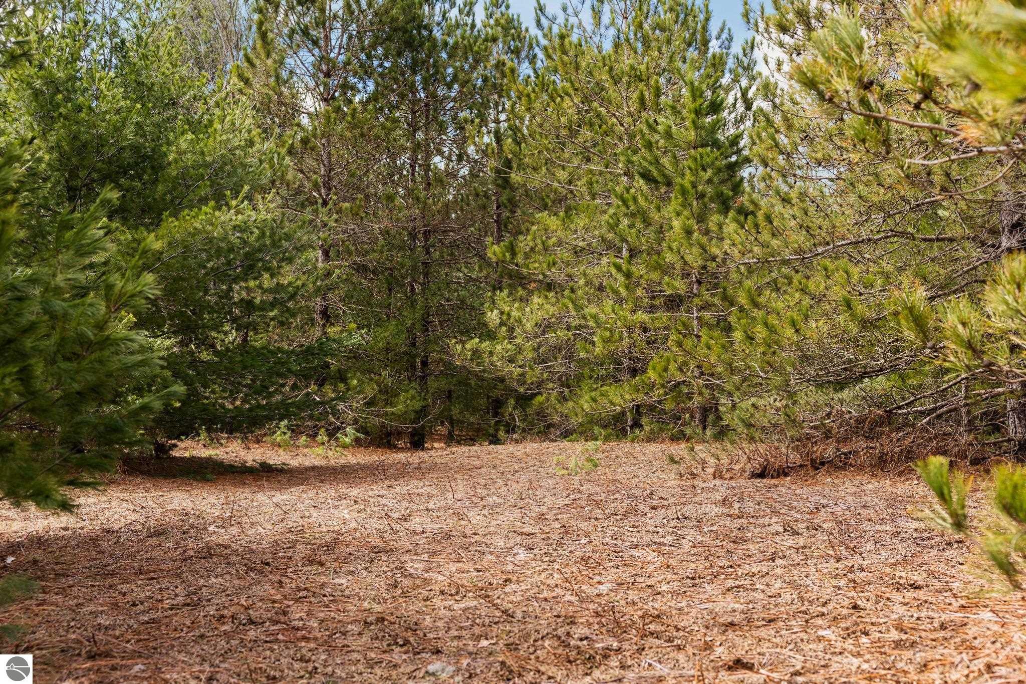 #1 Old Cabin Drive