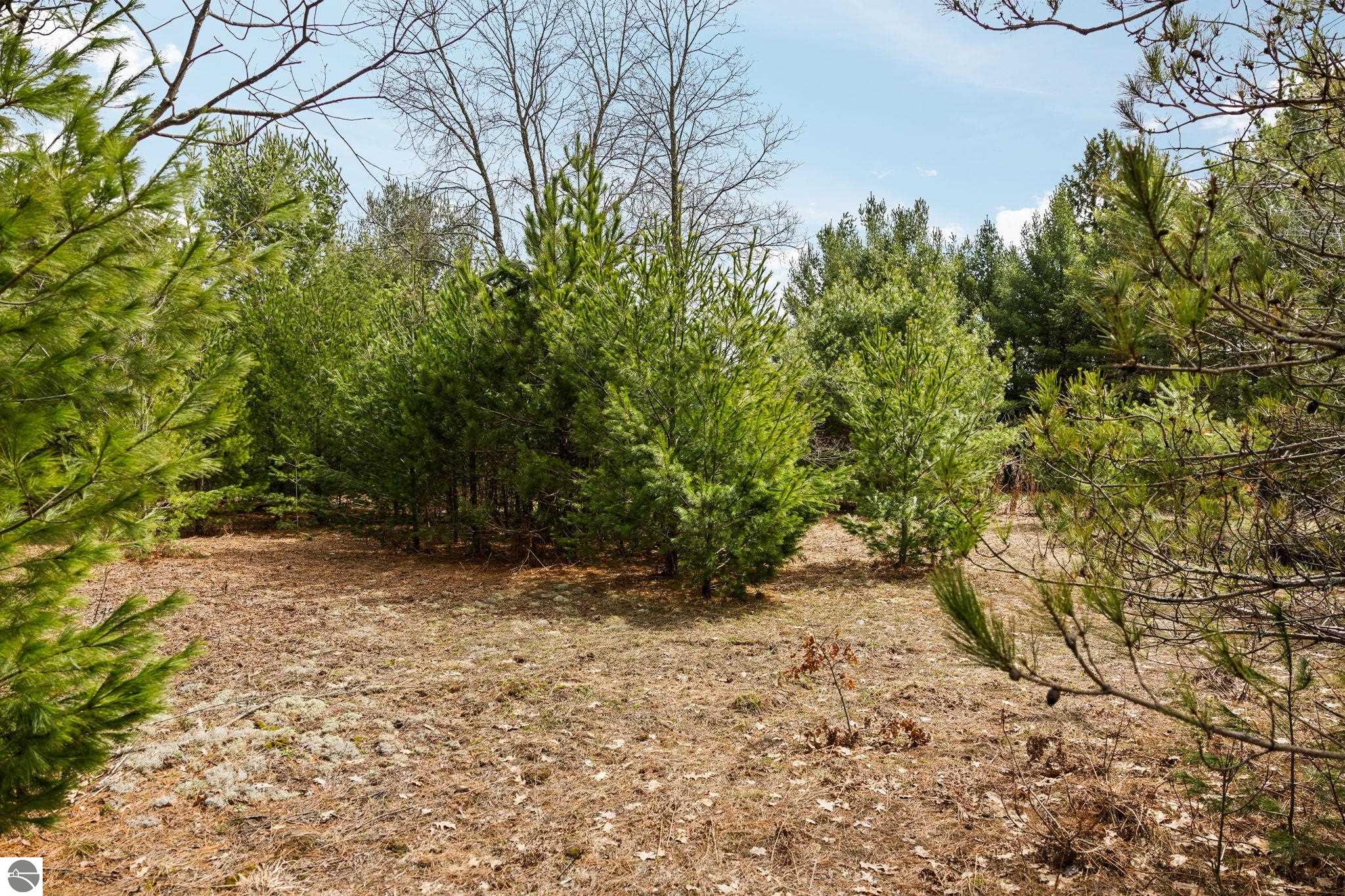 #1 Old Cabin Drive
