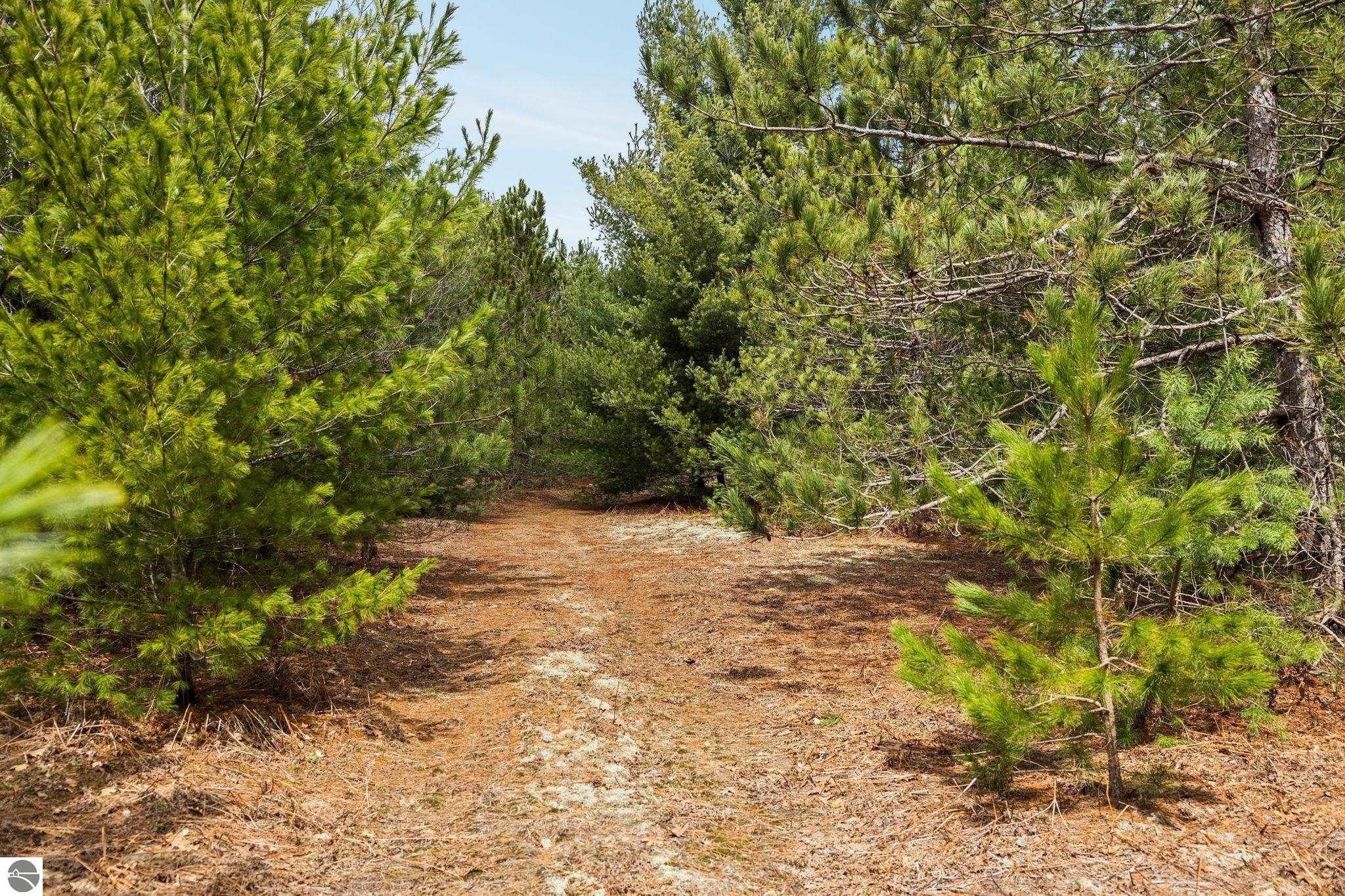 #33 Old Cabin Drive