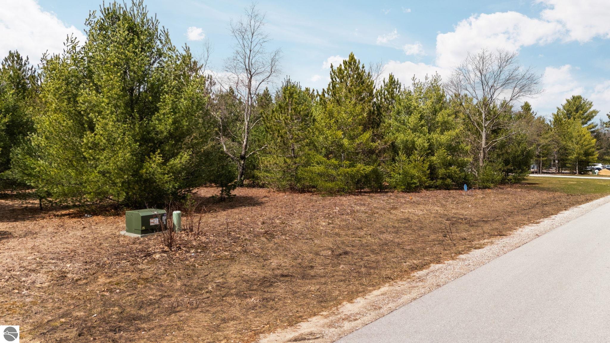 #31 Old Cabin Drive