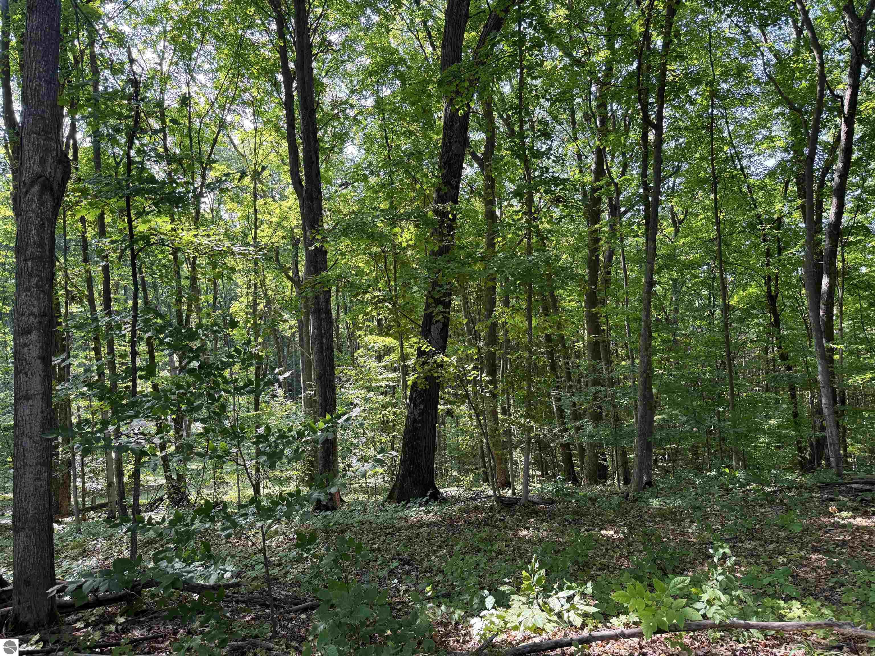 3037 Dockery Road, Nw