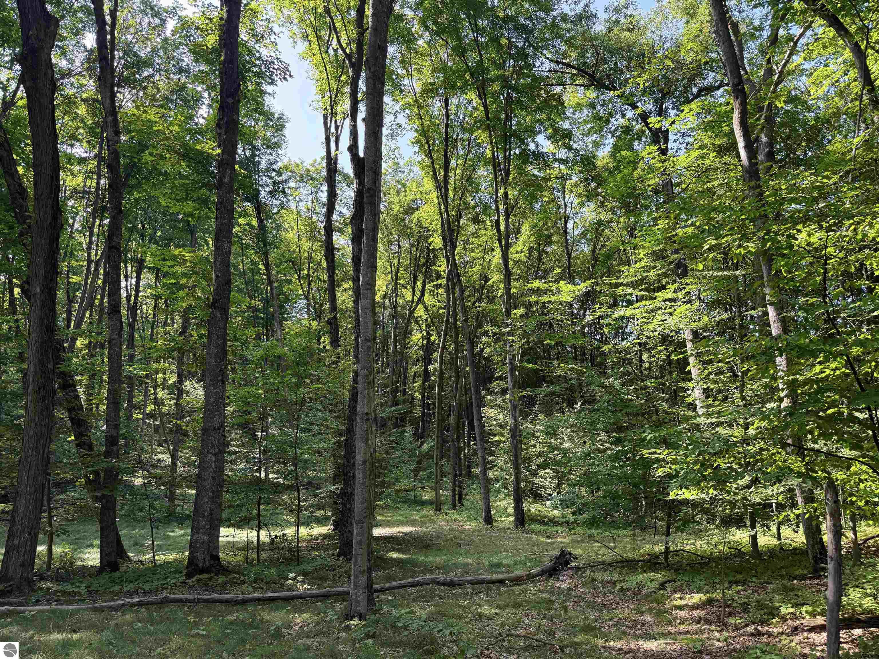 3037 Dockery Road, Nw