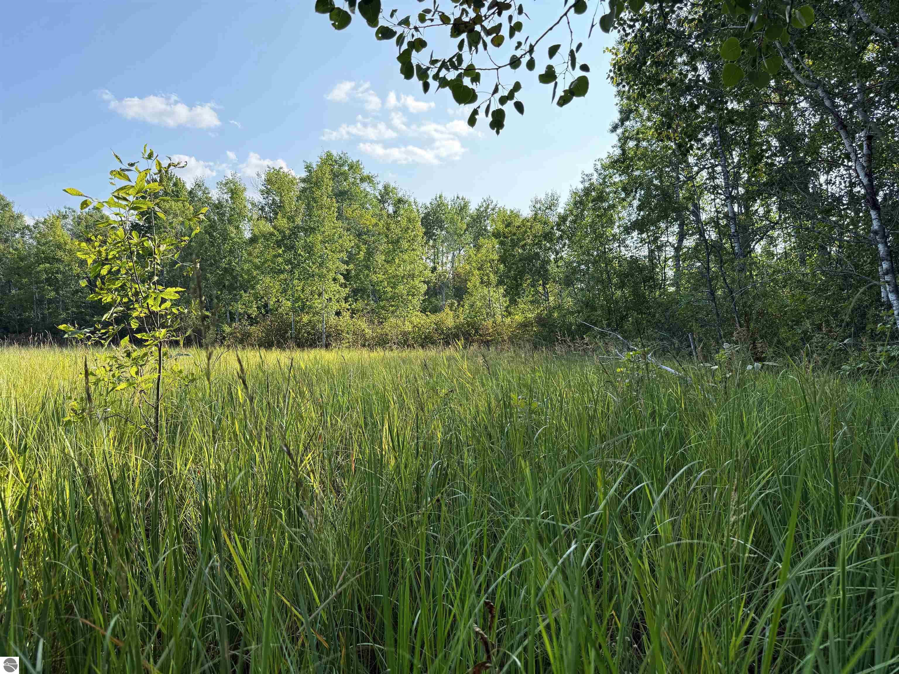 3288 NE Wheeler Lake Road