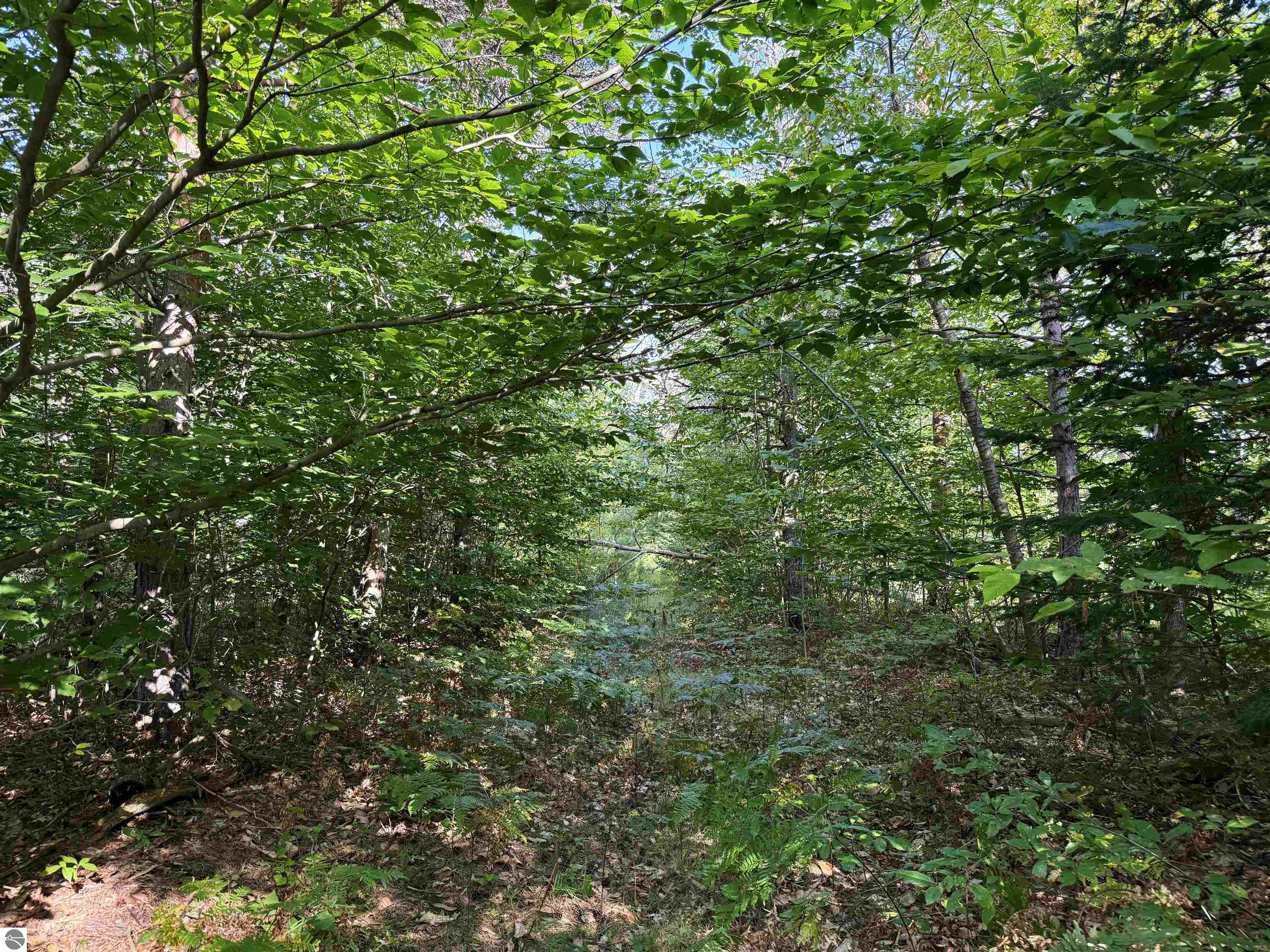 3288 NE Wheeler Lake Road
