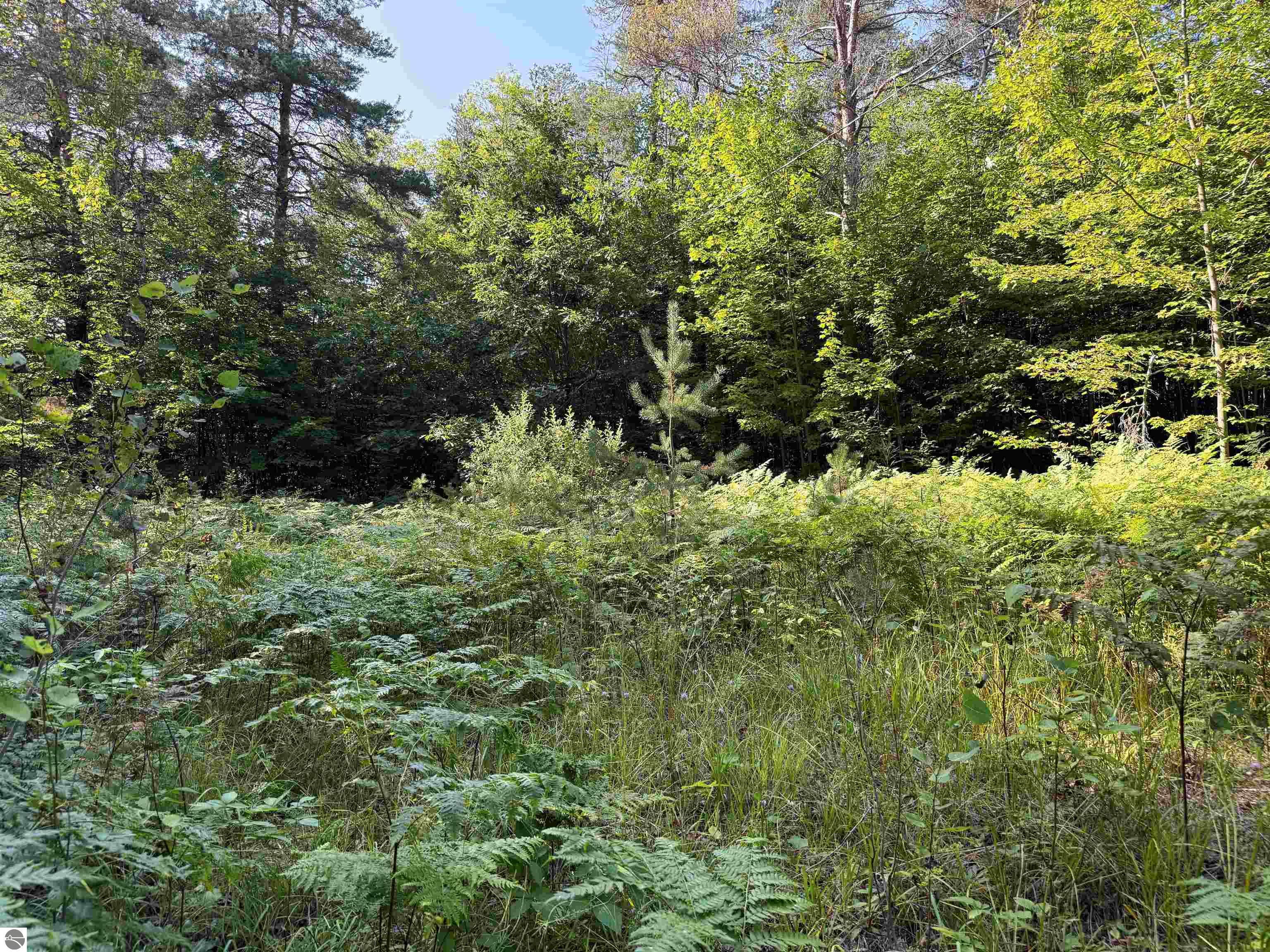 3288 NE Wheeler Lake Road