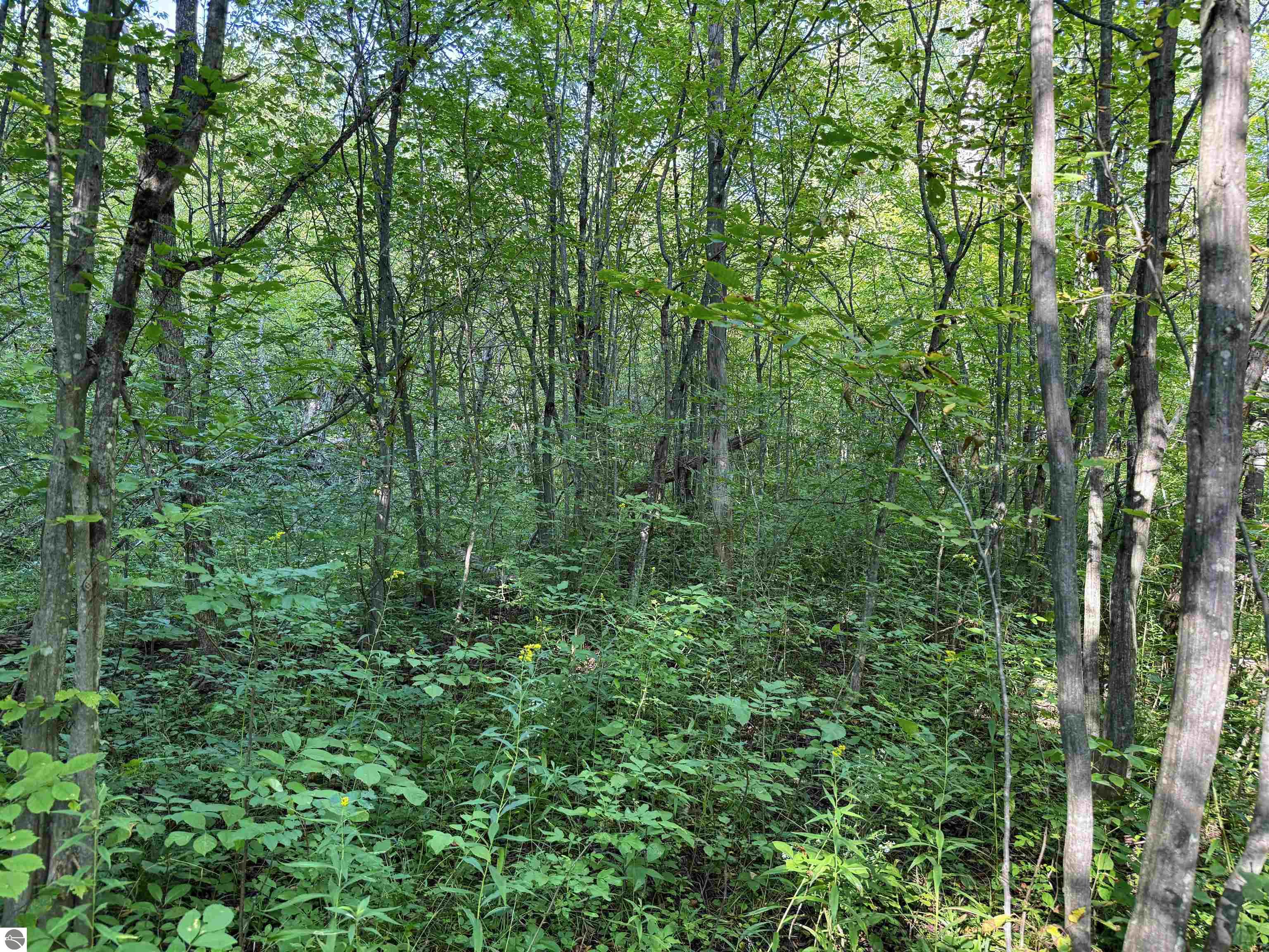 3288 NE Wheeler Lake Road