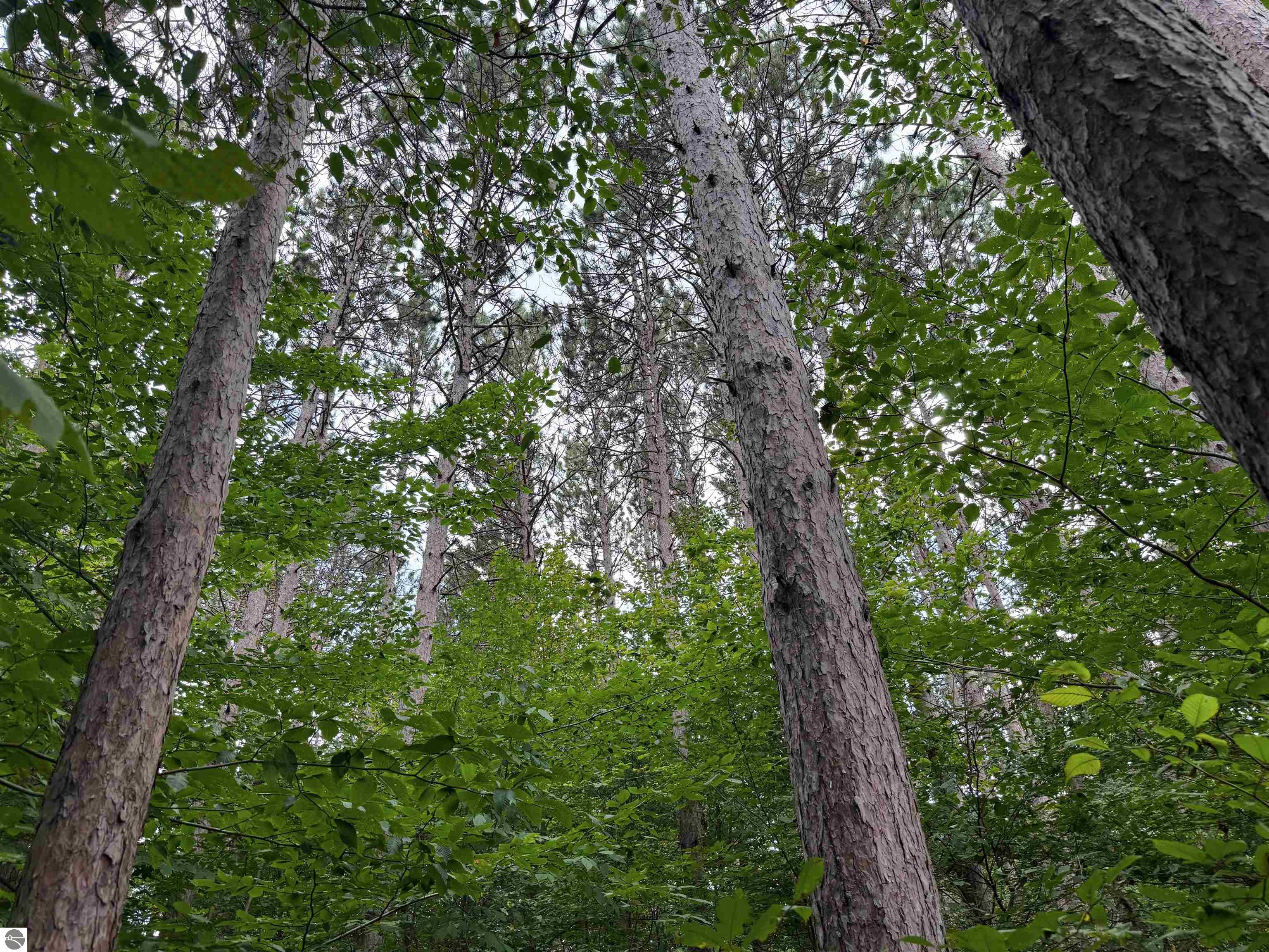 0000 NW Dundas Road