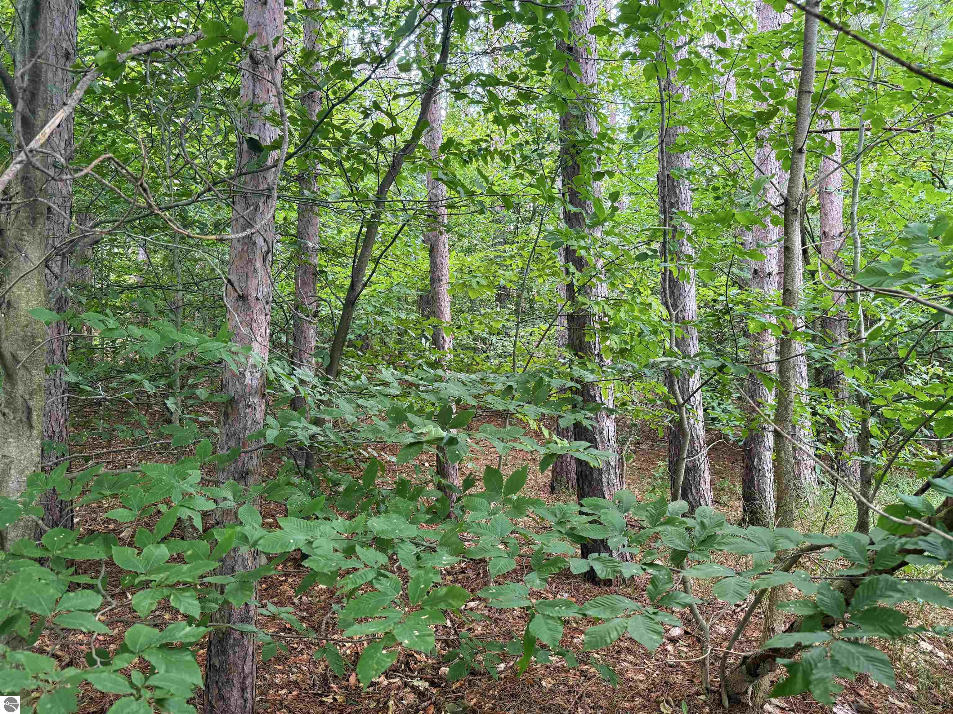 0000 NW Dundas Road