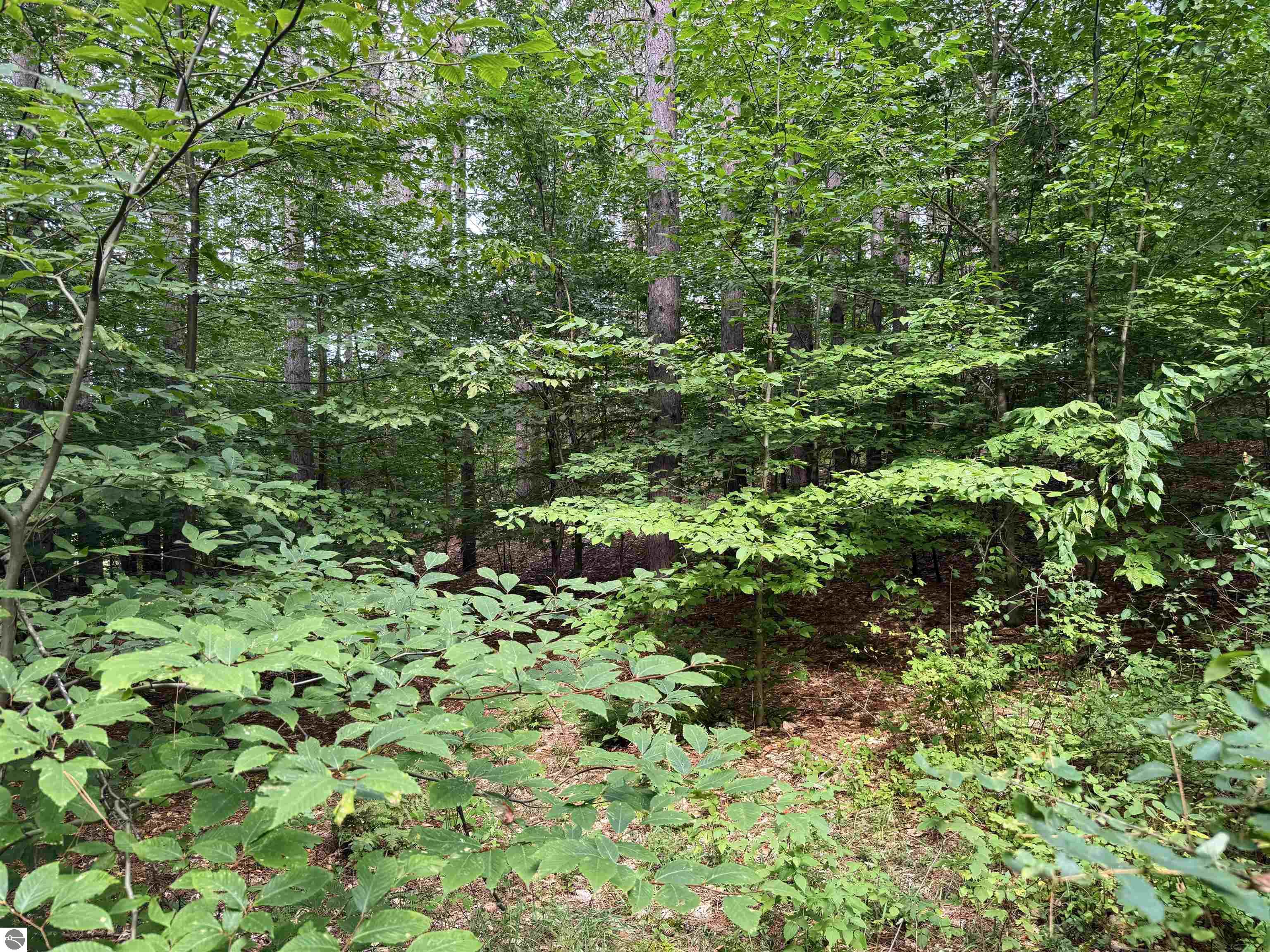 0000 NW Dundas Road