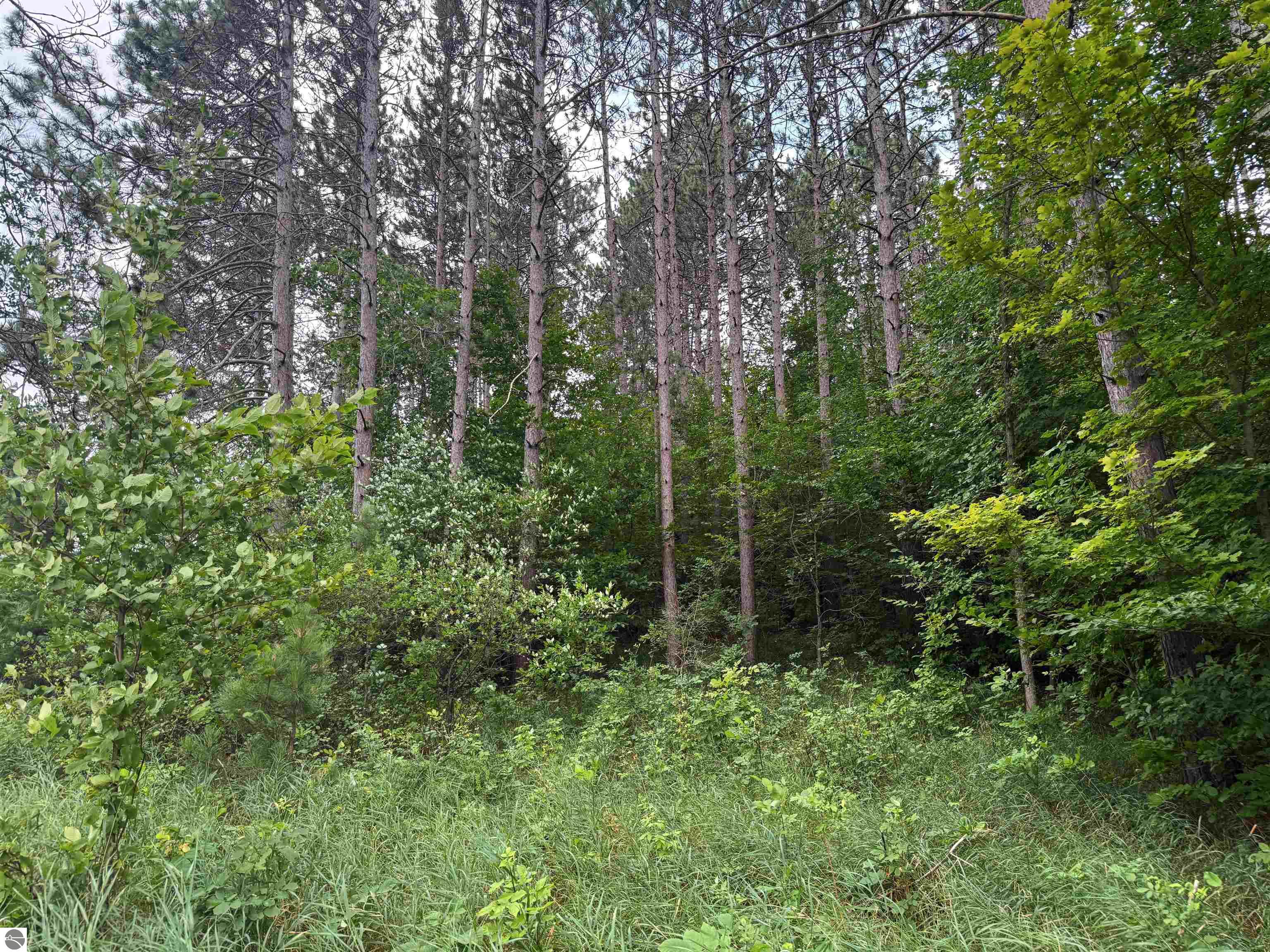 0000 NW Dundas Road