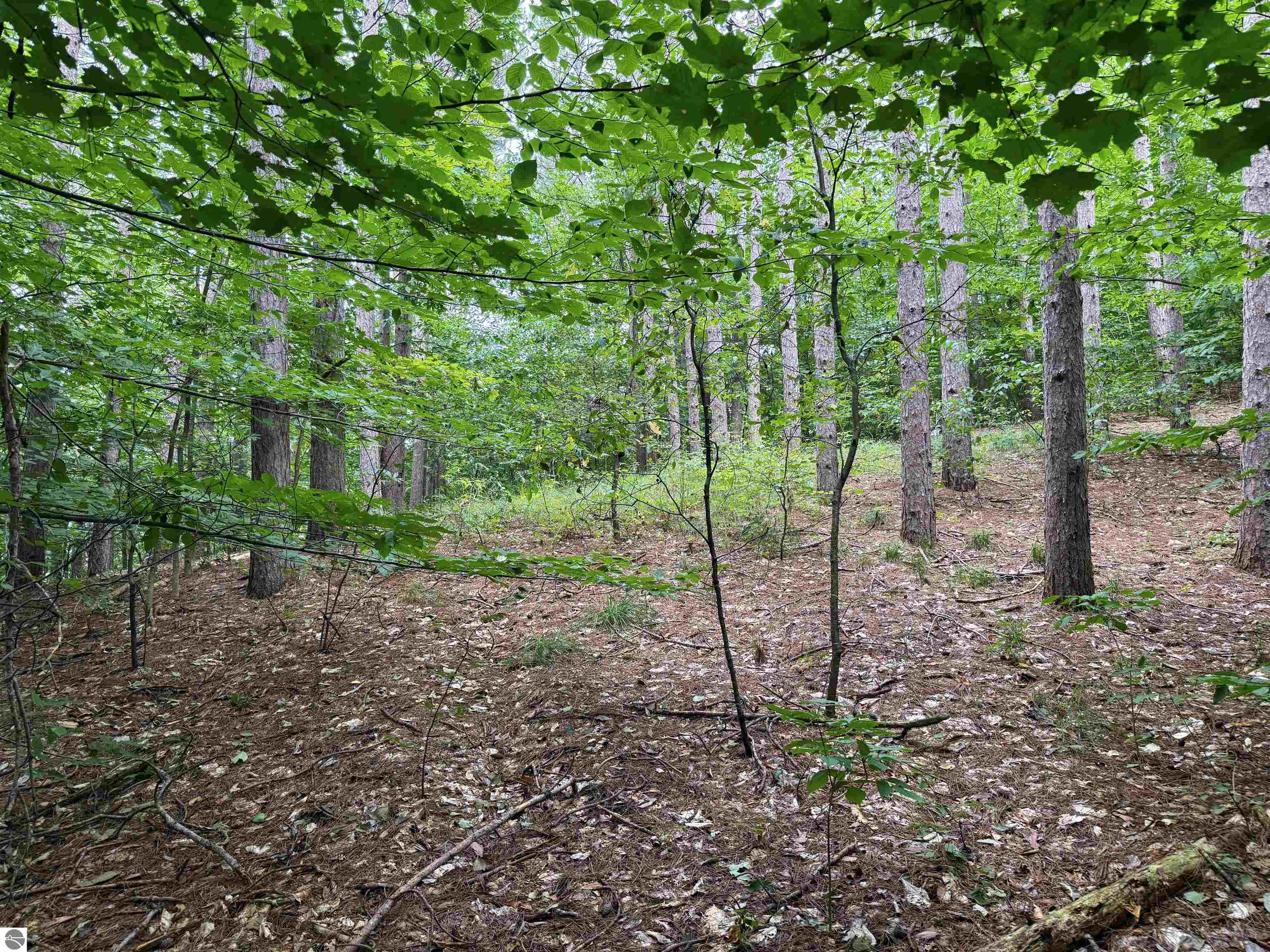 0000 NW Dundas Road