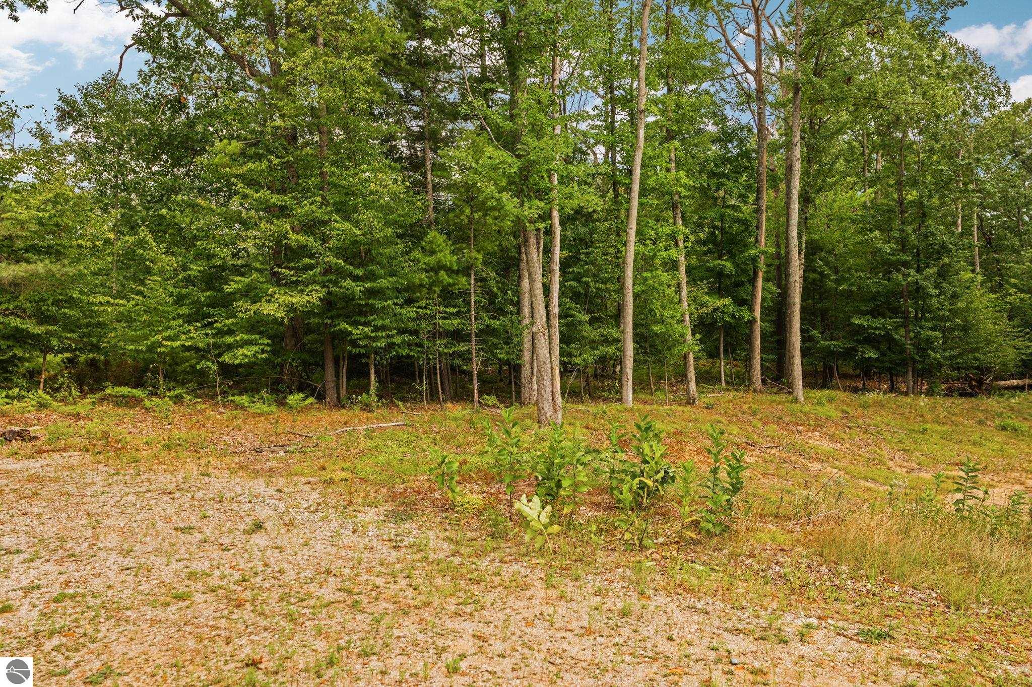 2238 Arbutus Pointe Drive