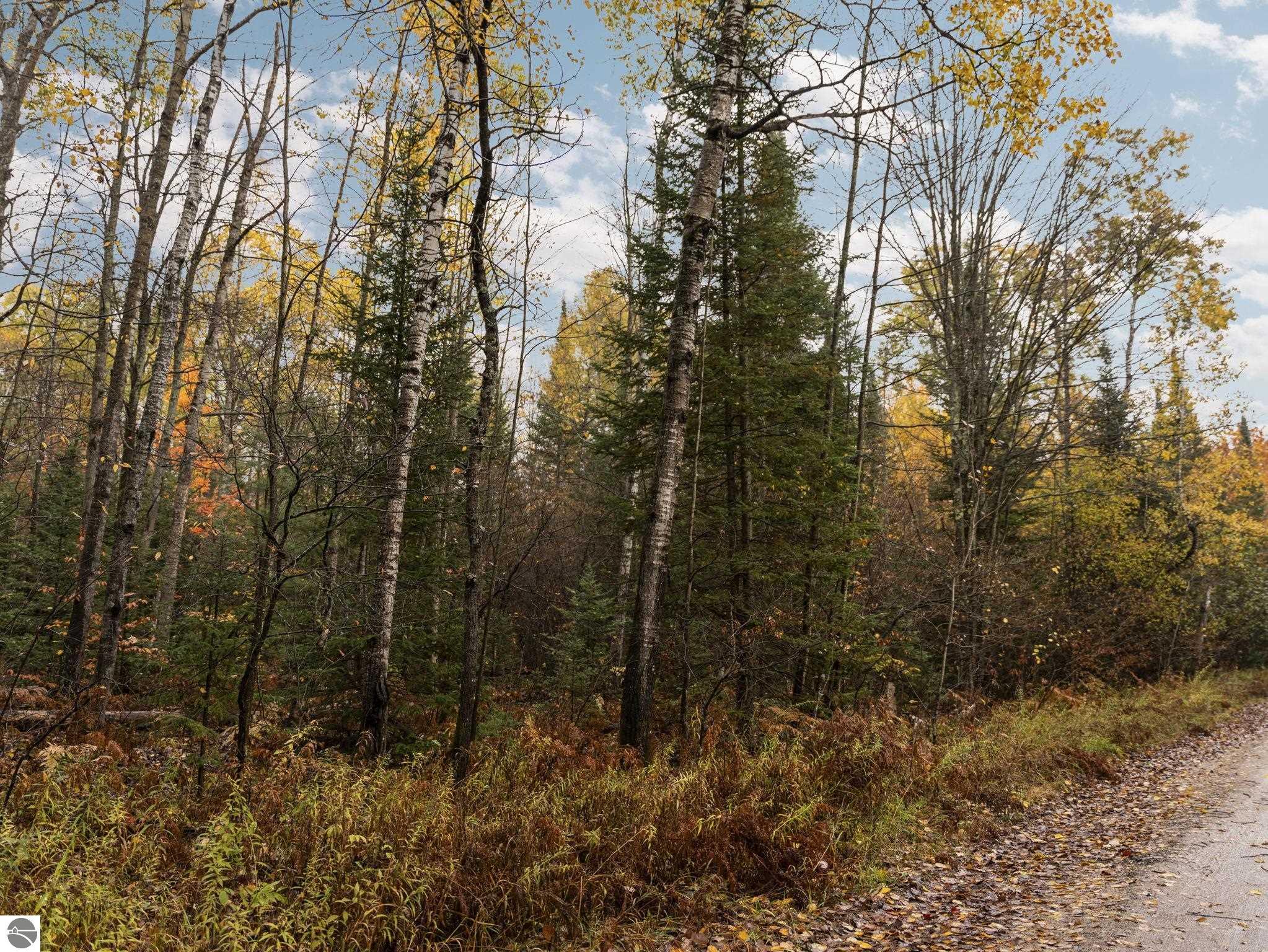 A Irvin Road