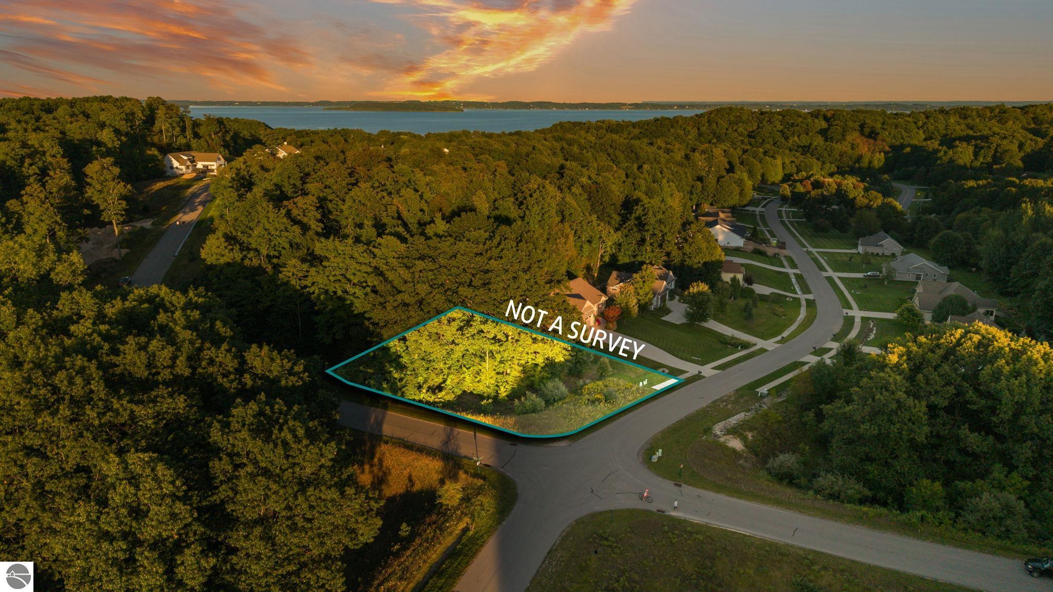 Aerial view of a wooded lot outlined beside a residential street, with water and sunset in the distance.