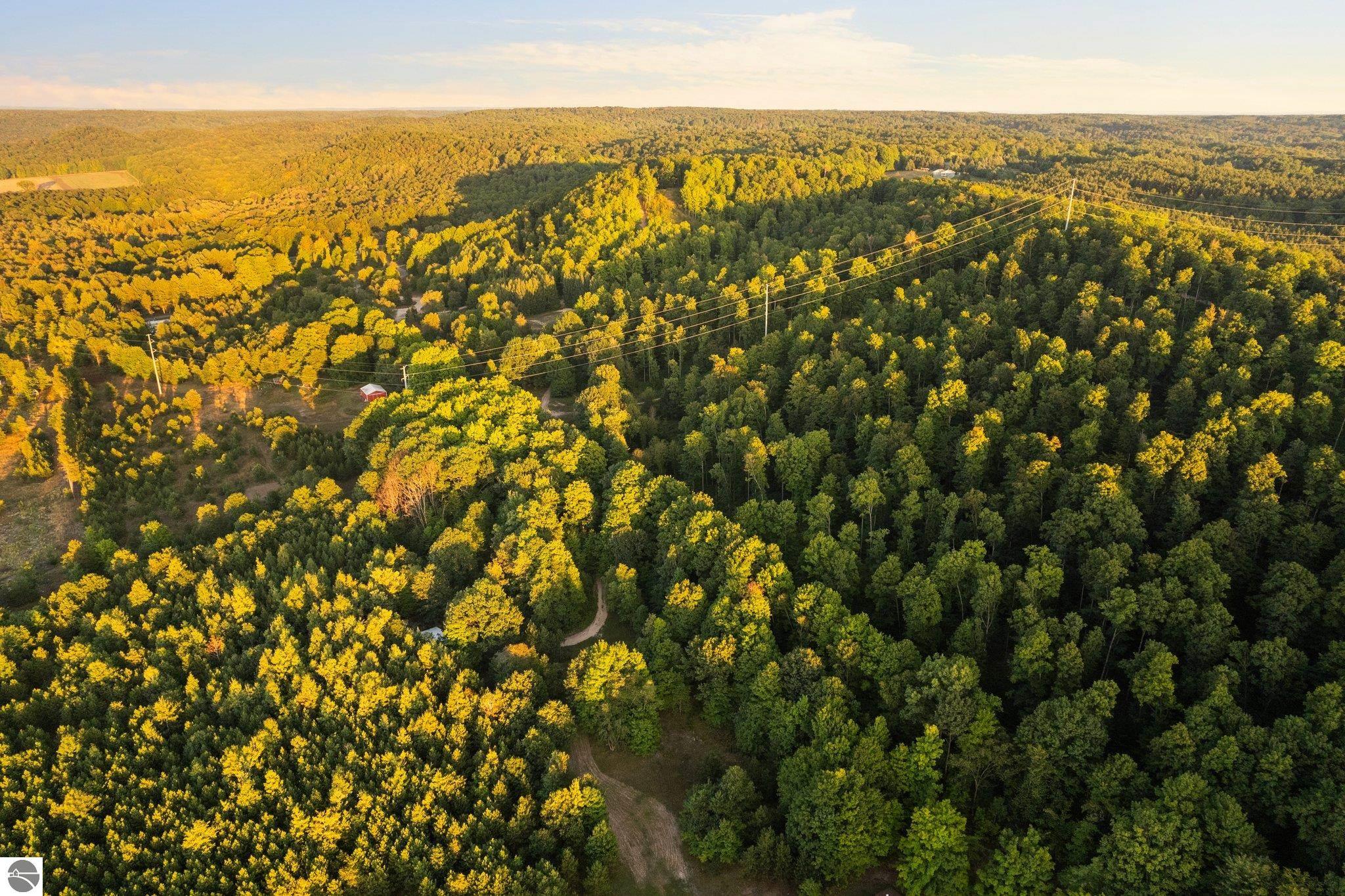 42.02 Acres Retreats Way