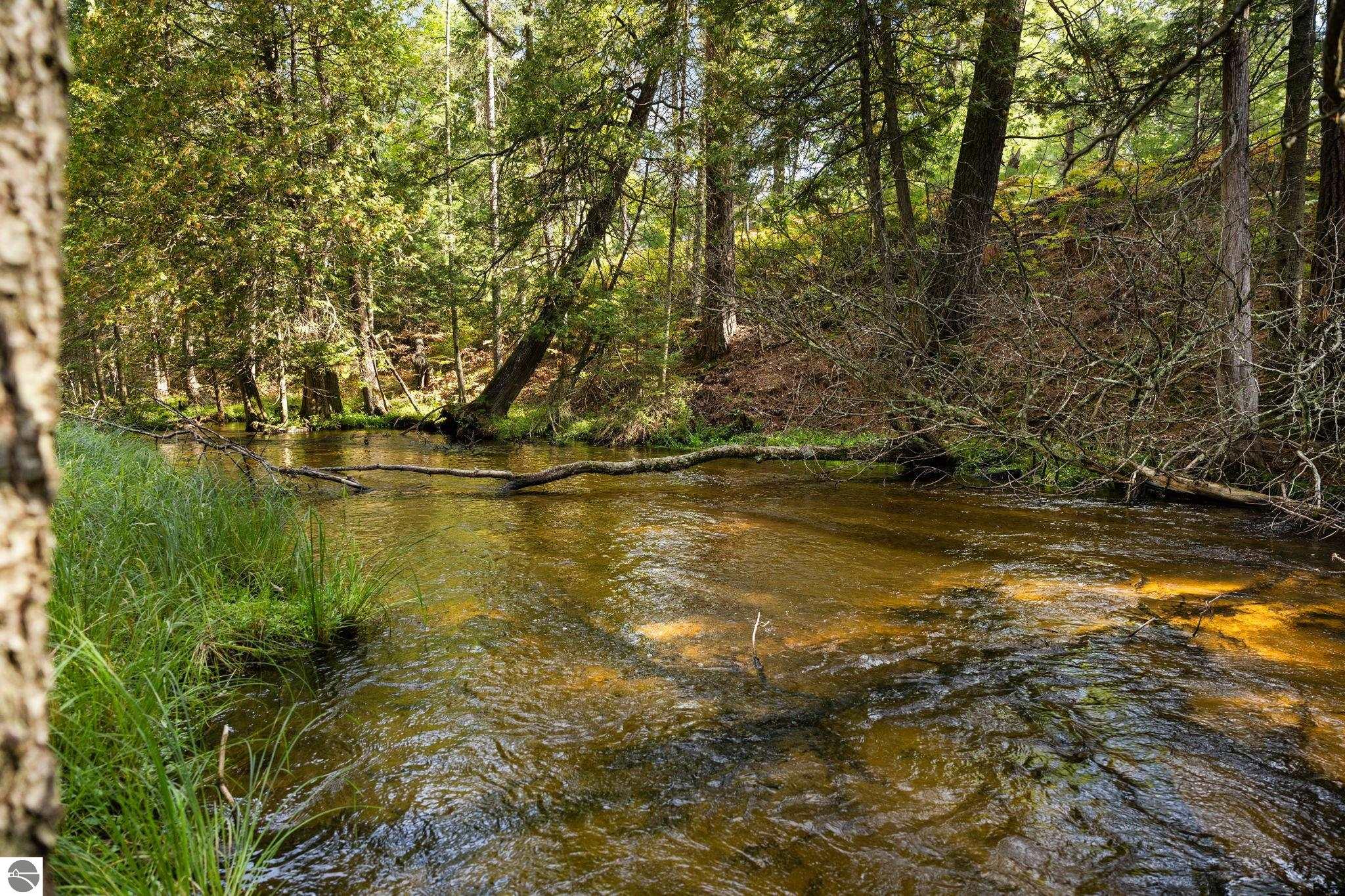 11663 SE Blueberry Trail