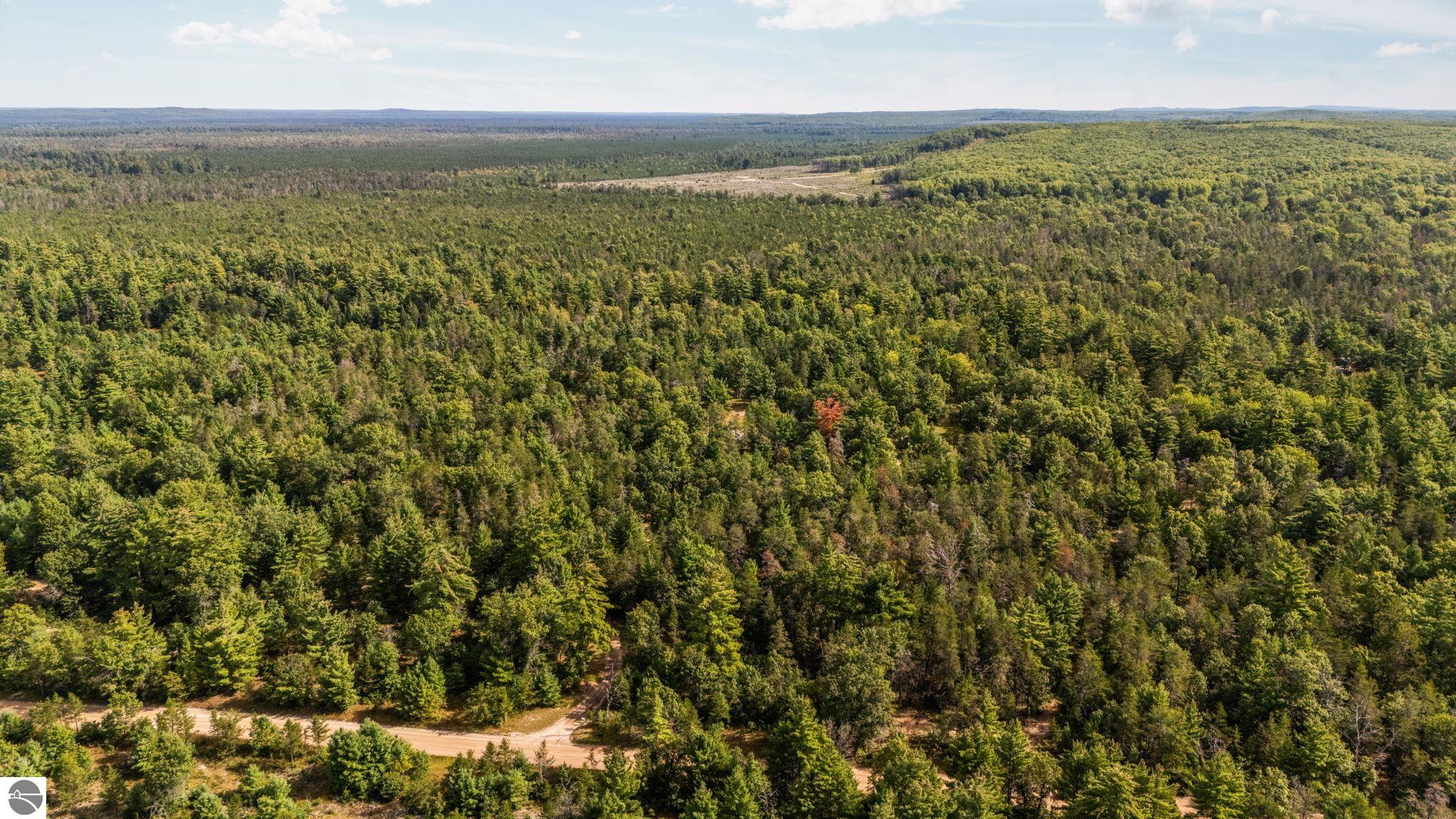11663 SE Blueberry Trail