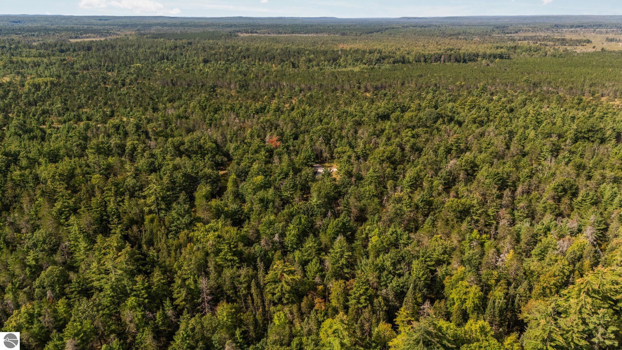 11663 SE Blueberry Trail