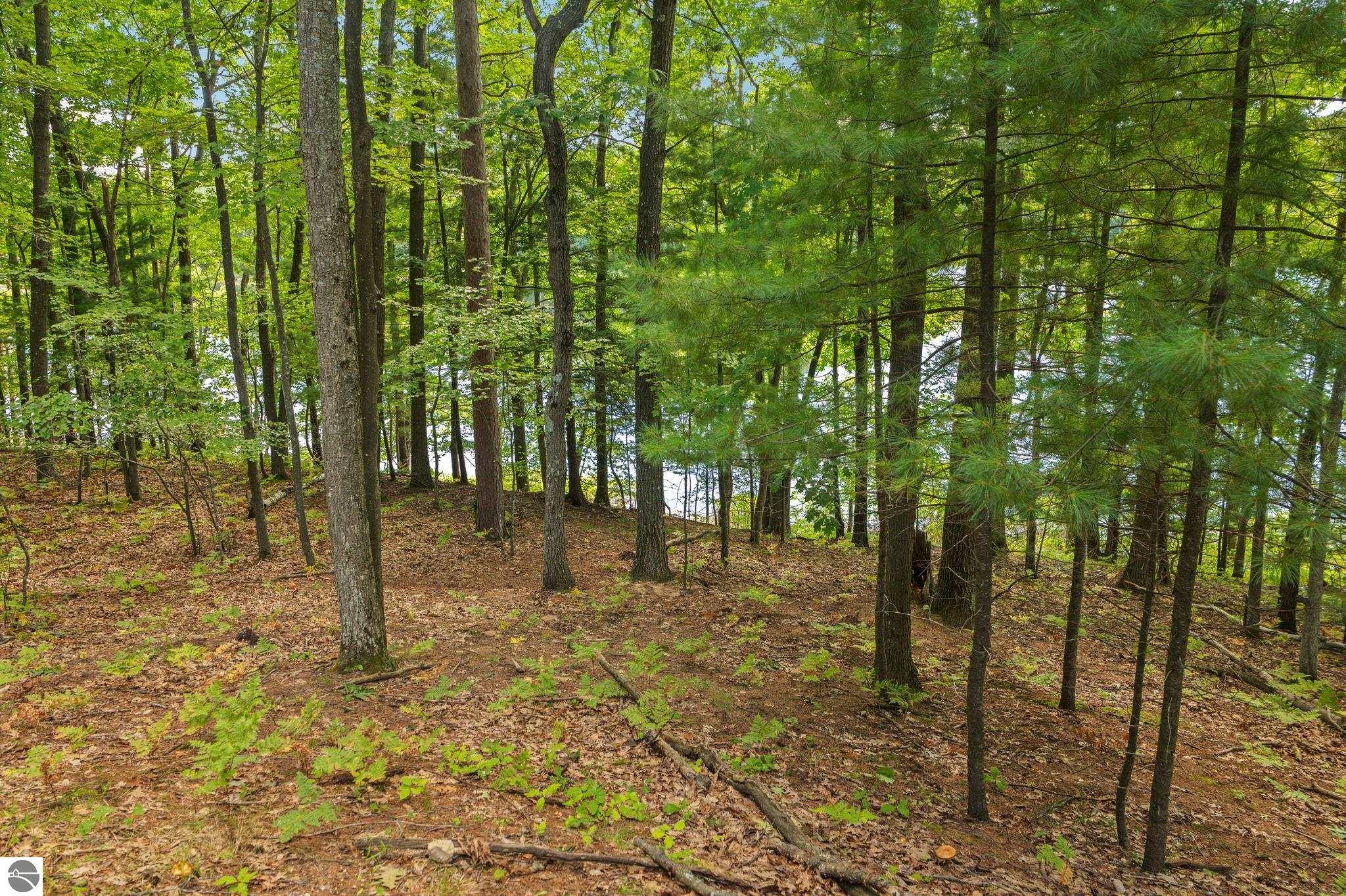 7103 Lake View Ridge