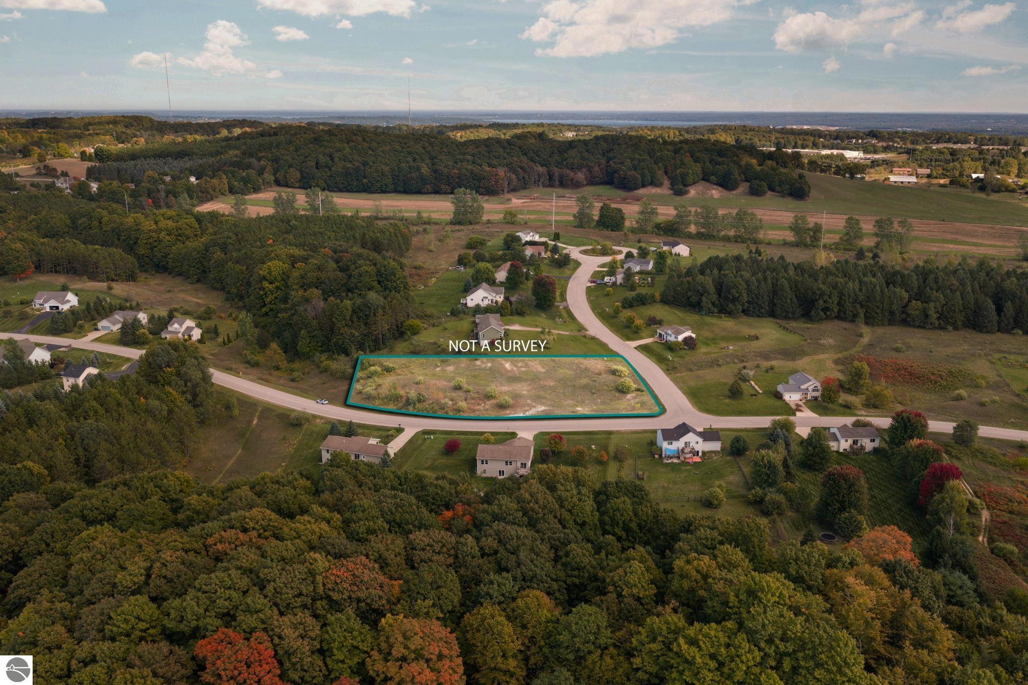 Aerial view of a vacant lot outlined in teal beside a residential road and wooded homes.