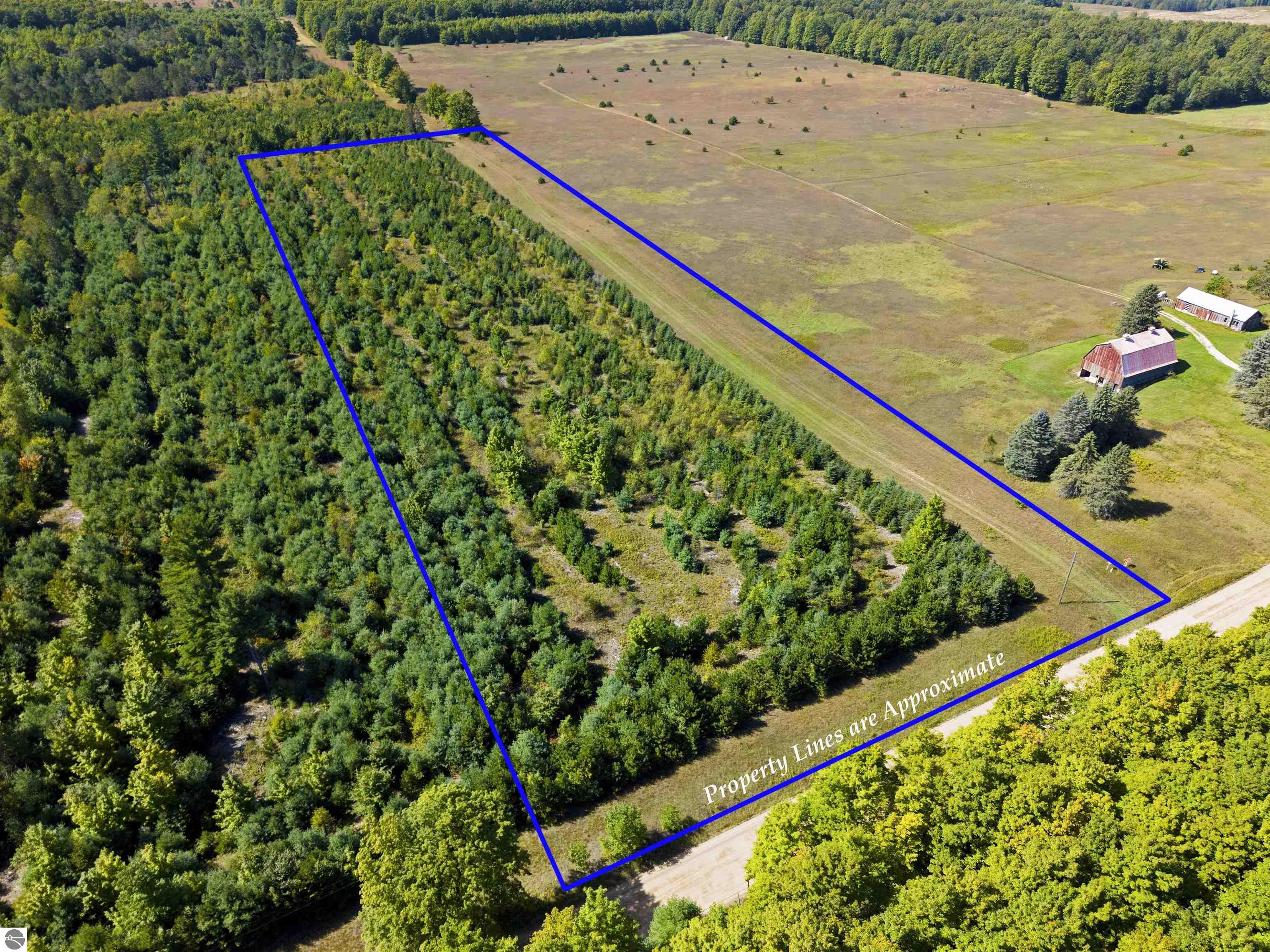 Aerial view of a wooded parcel outlined in blue beside a dirt road and open fields.