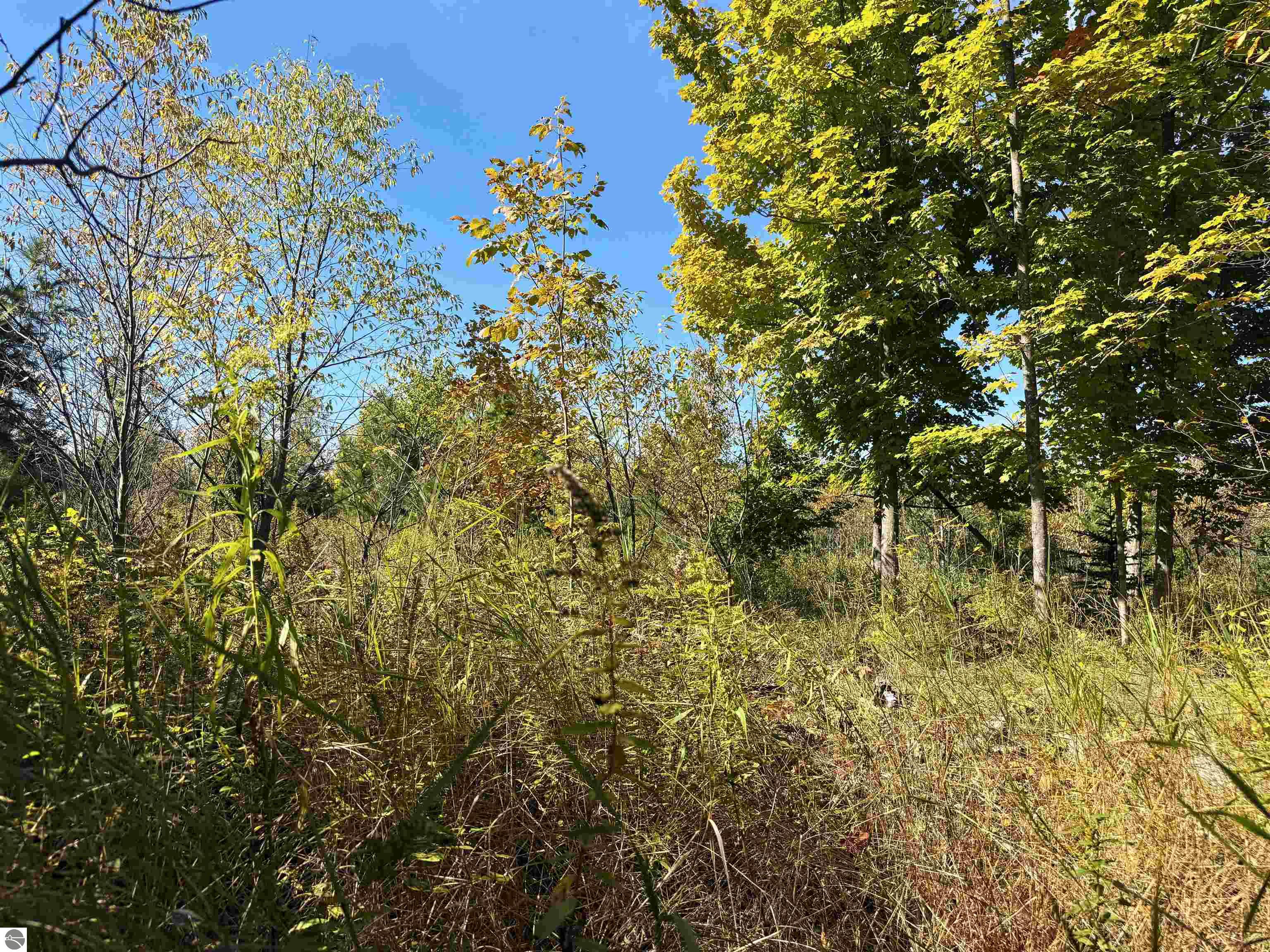 0000 Shively Road