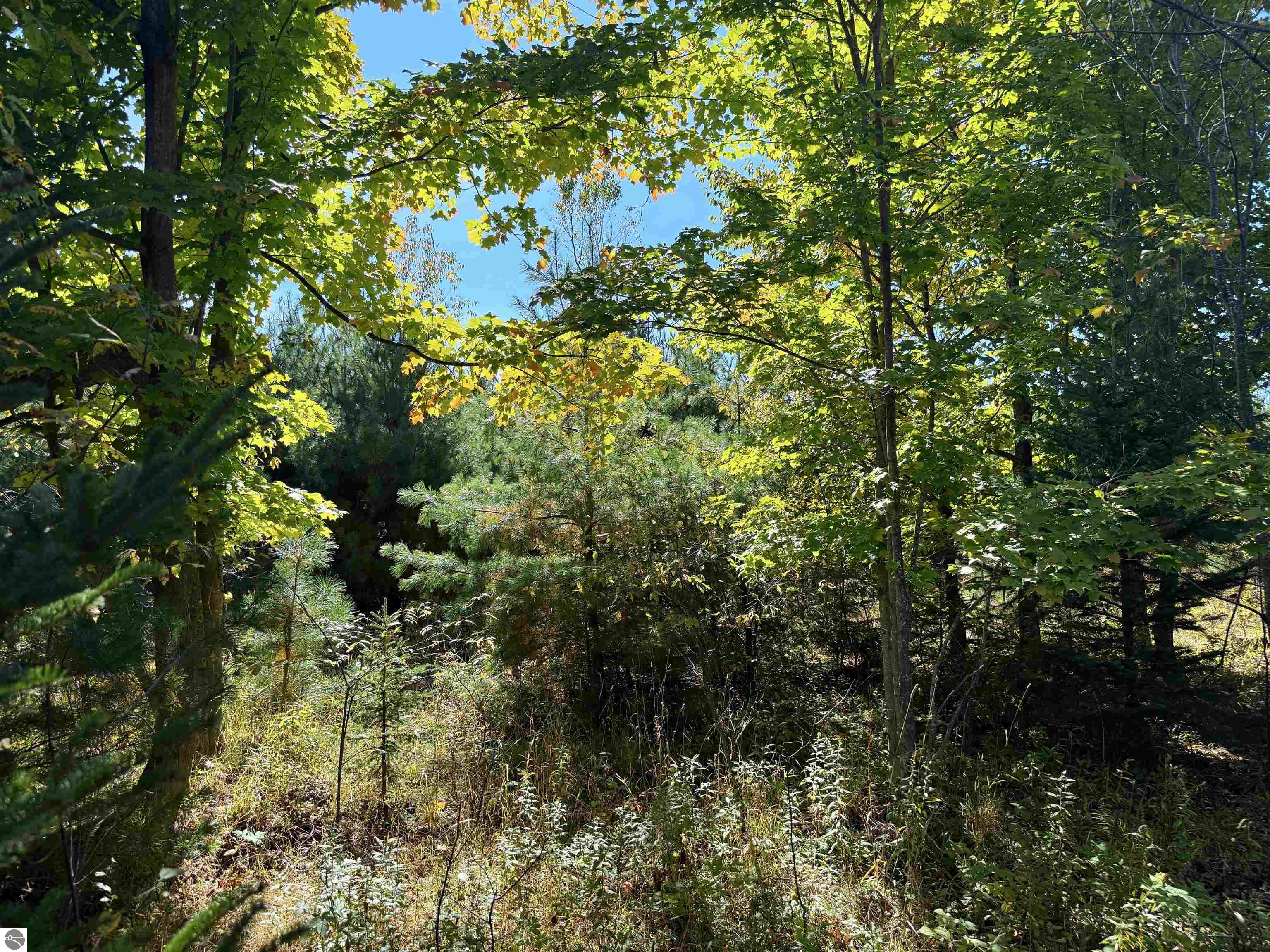 0000 Shively Road