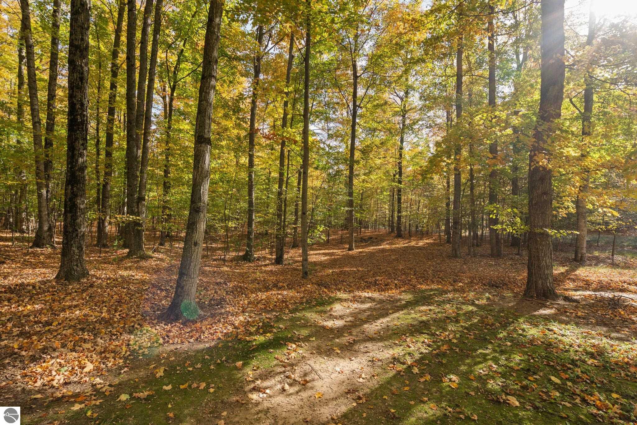 5219 Timber Point Trail