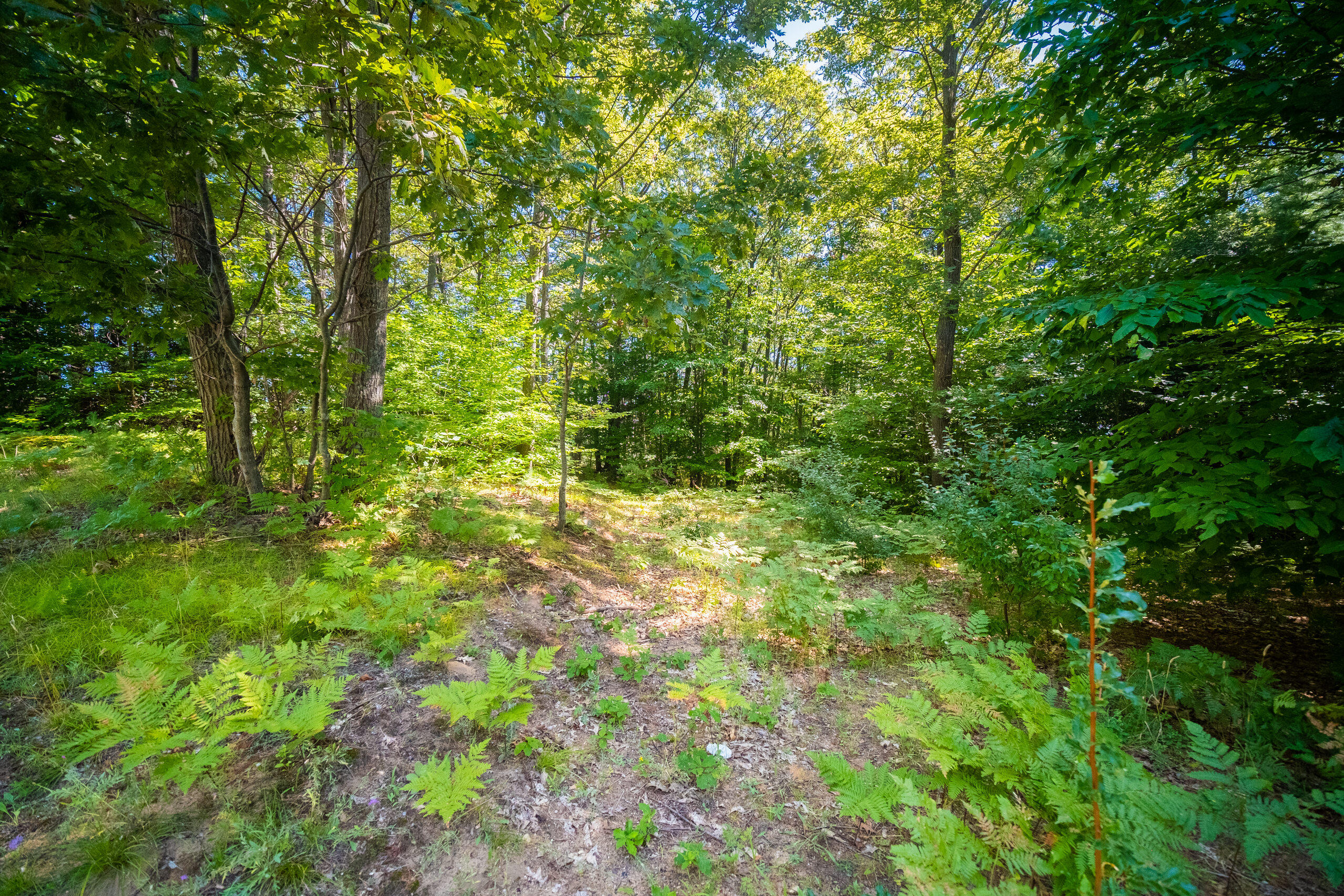 Emerald Ridge, 1