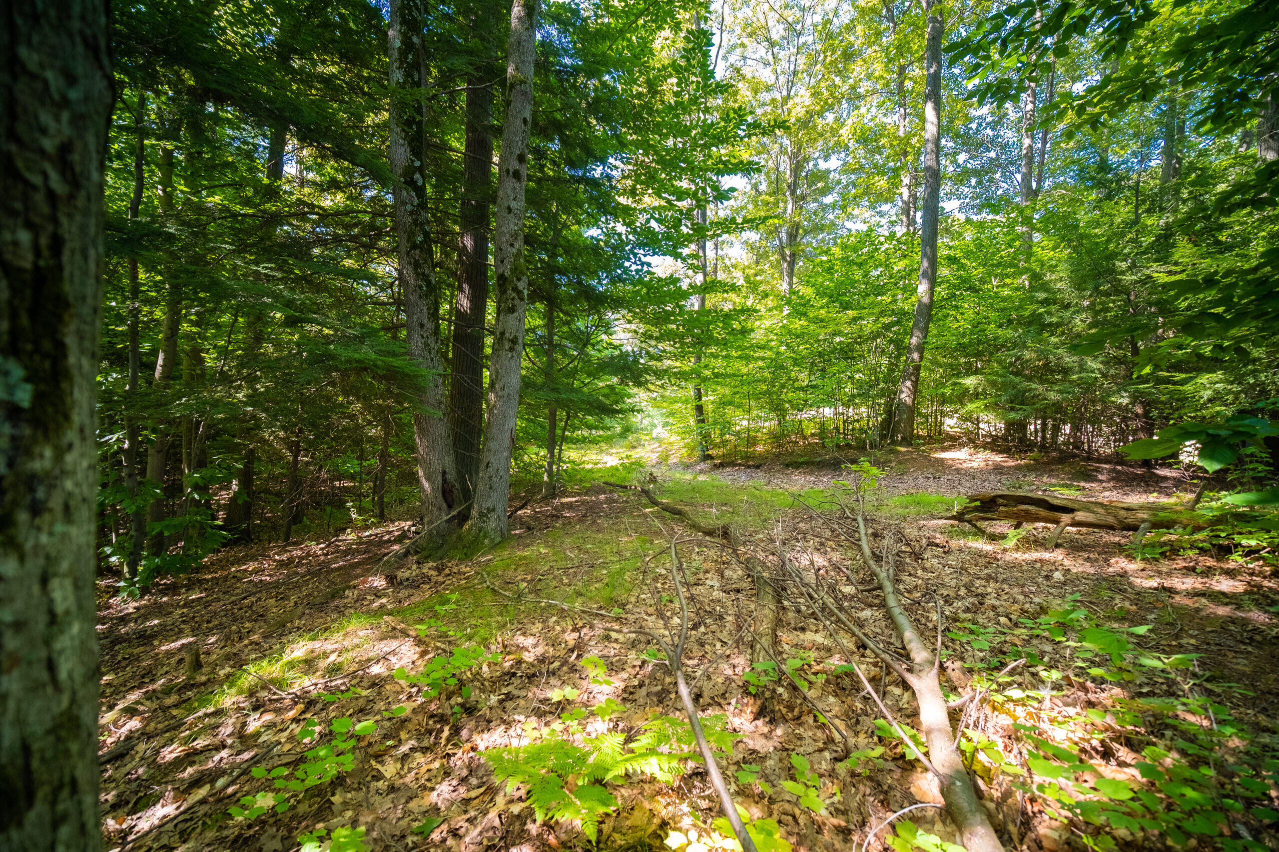 Emerald Ridge, 1
