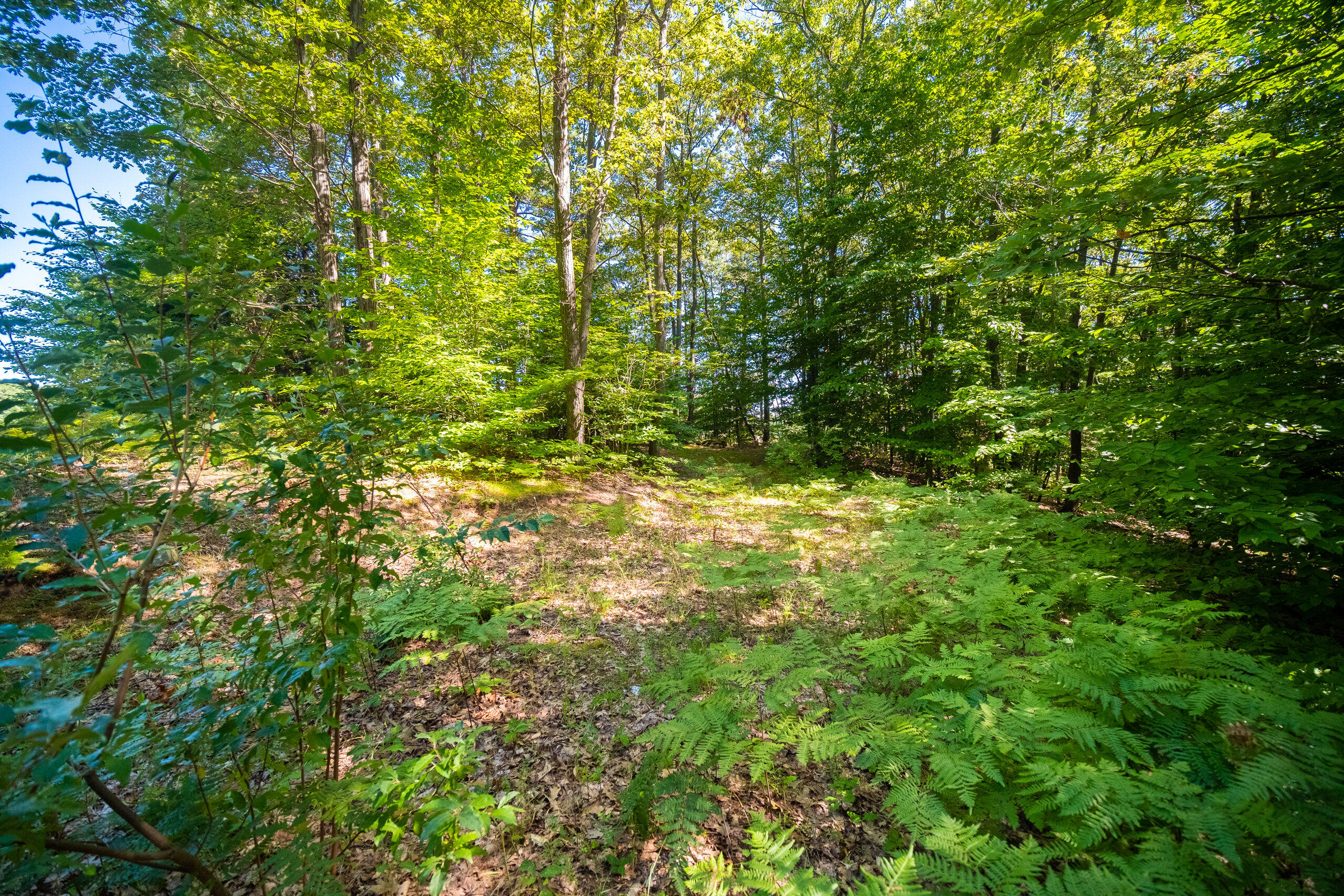 Emerald Ridge, 1